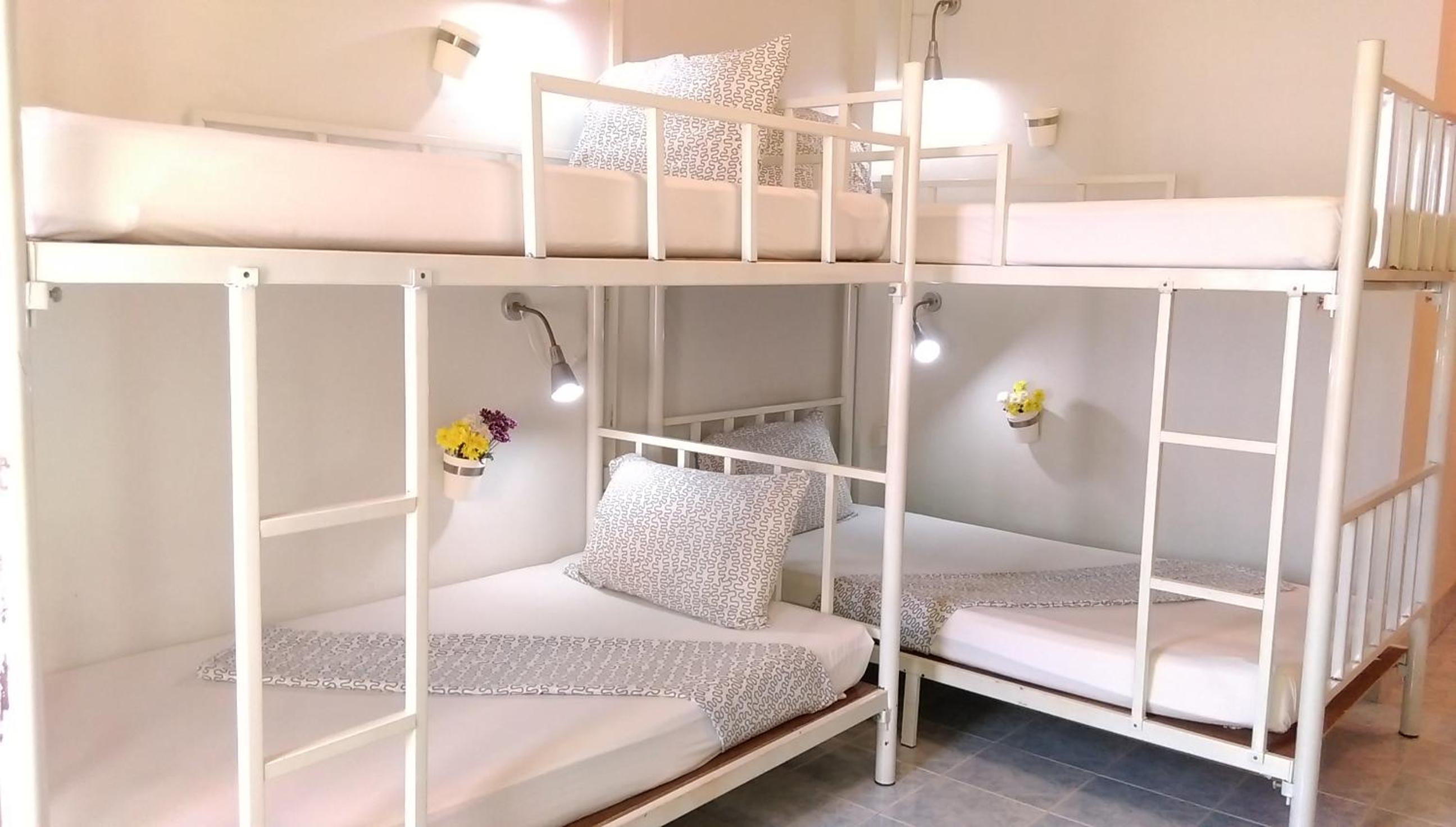 Bunk Bed in Mixed Dormitory Room photo 2
