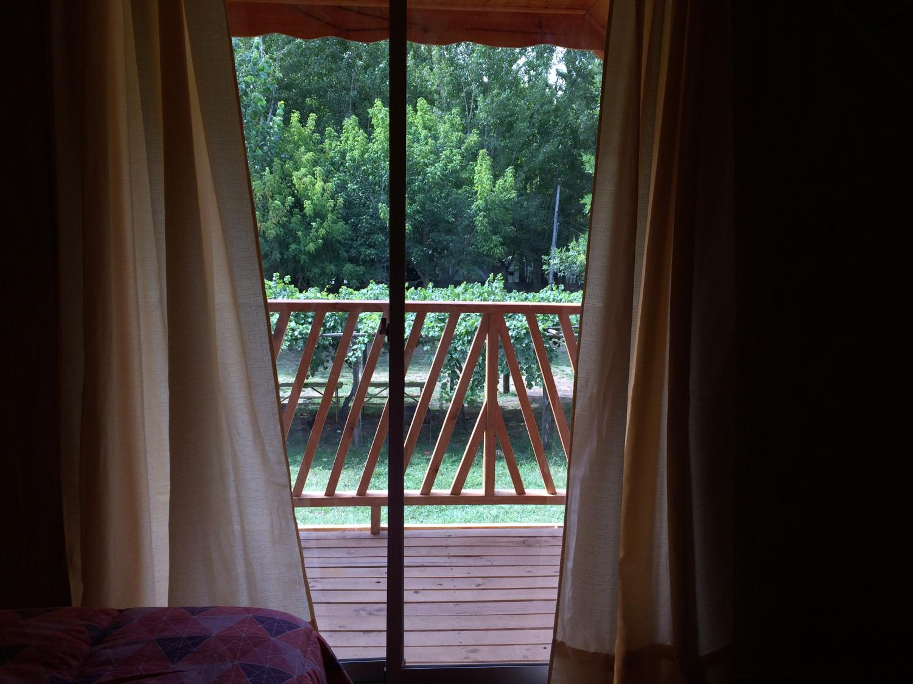 Suite with Terrace photo 3
