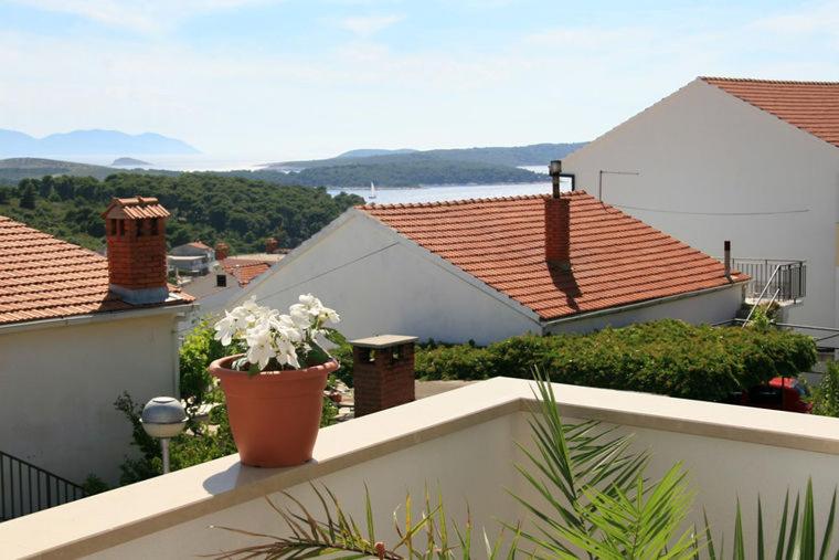 Studio with Sea View photo 3