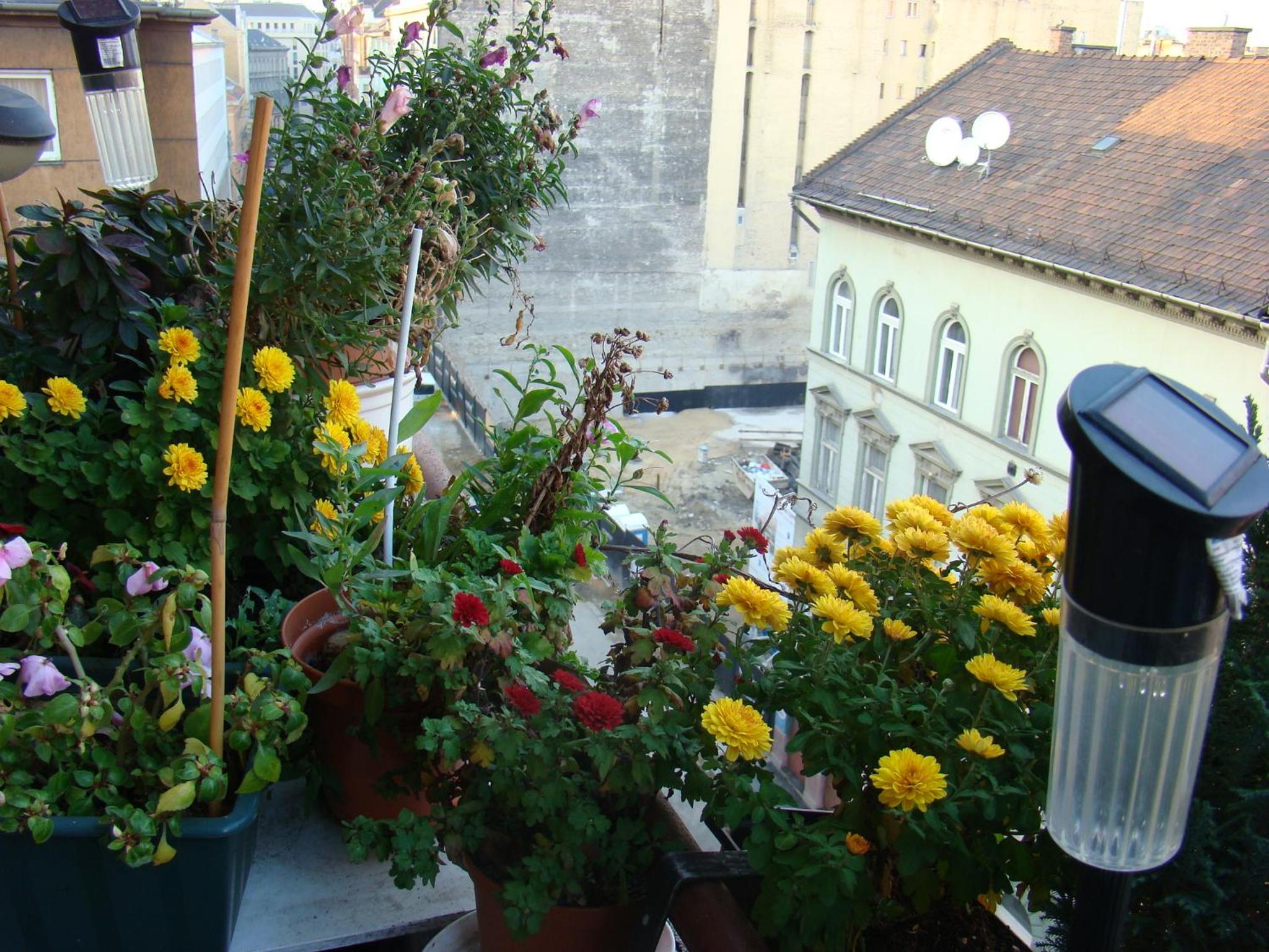One-Bedroom Apartment - Photo 23