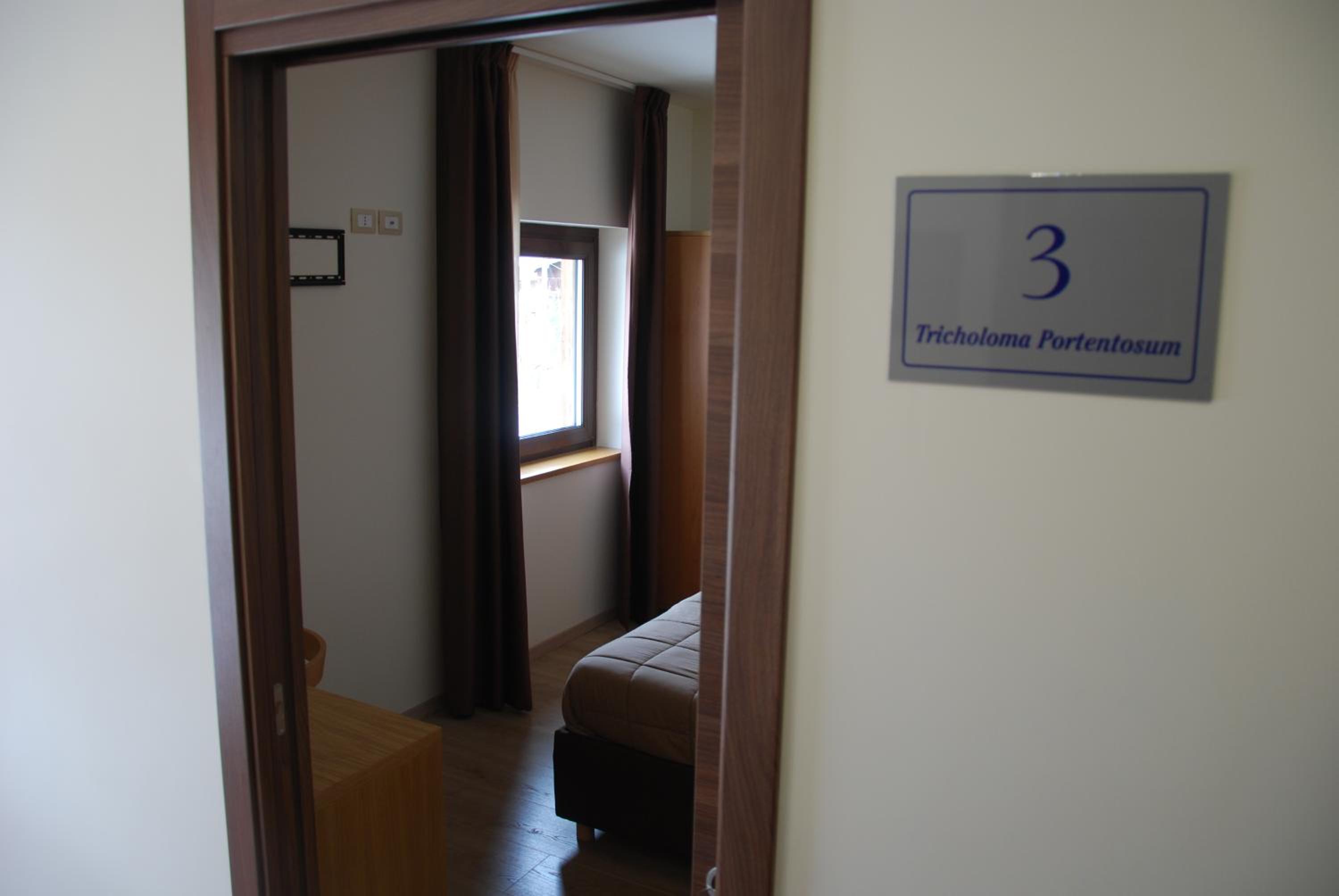 Deluxe Room (2 Adults + 1 Child)