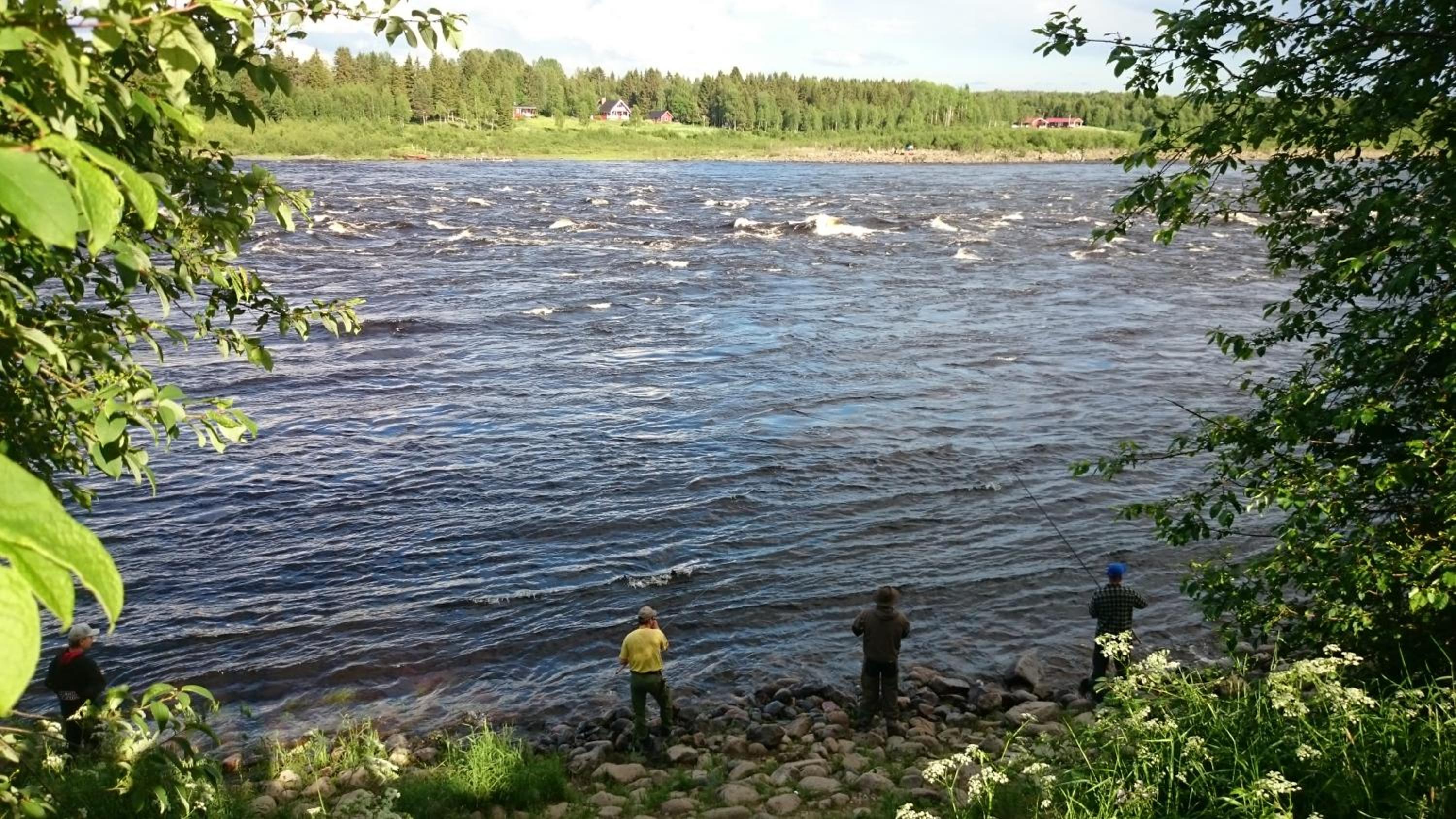 Cottage with Sauna - Photo 3