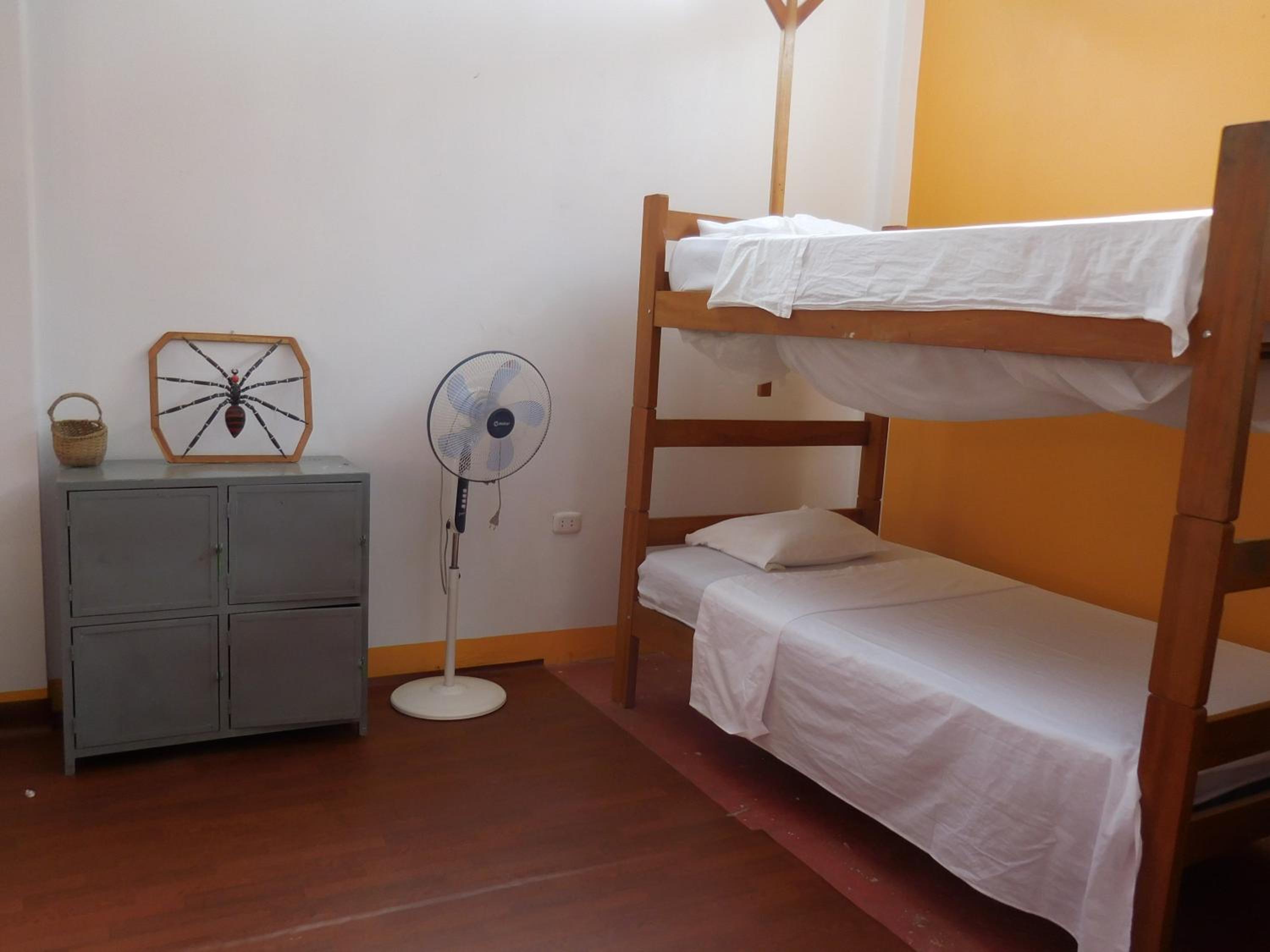 Mixed Dormitory Room
