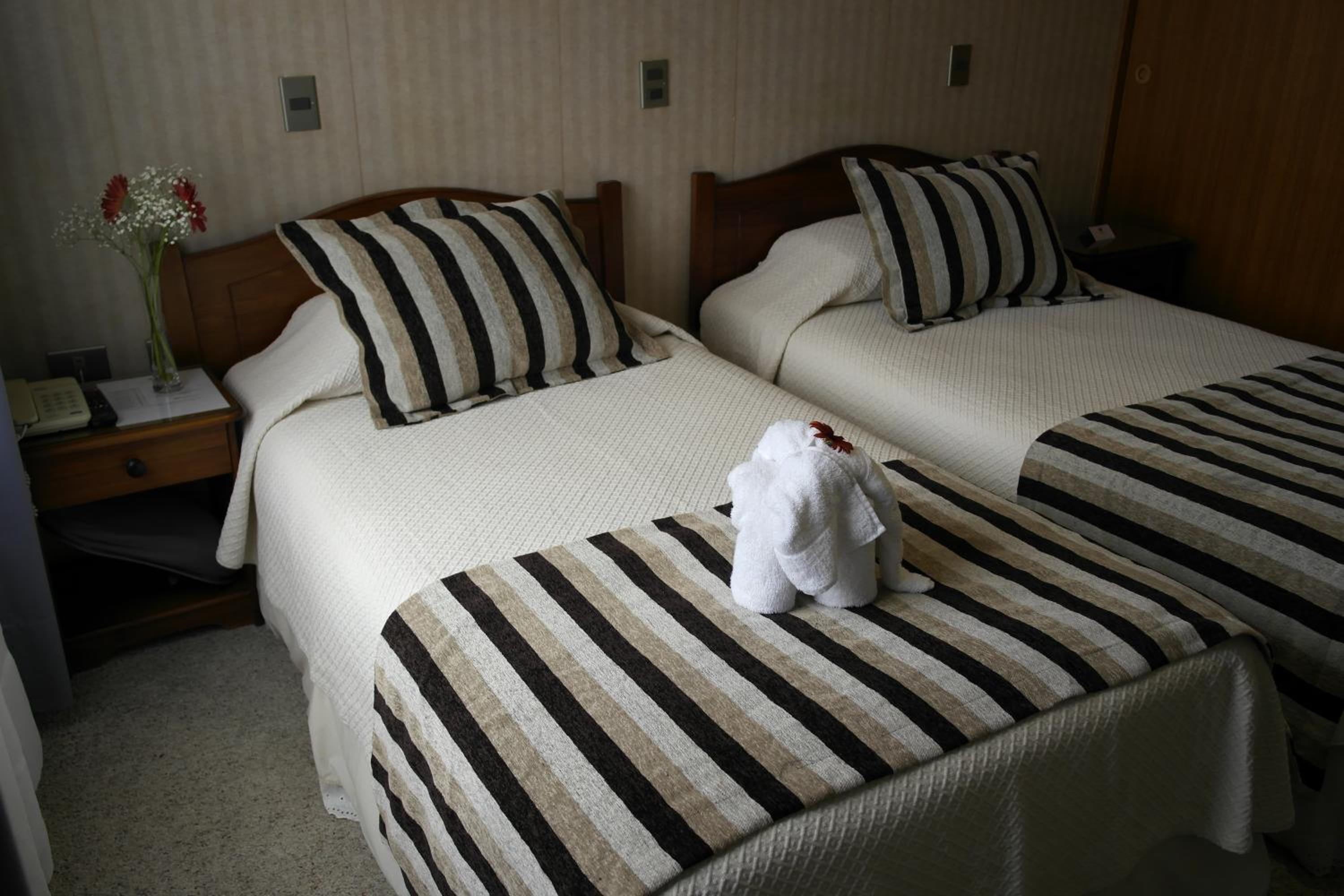 Twin Room photo 2