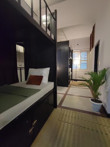 Bunk Bed in Female Dormitory Room