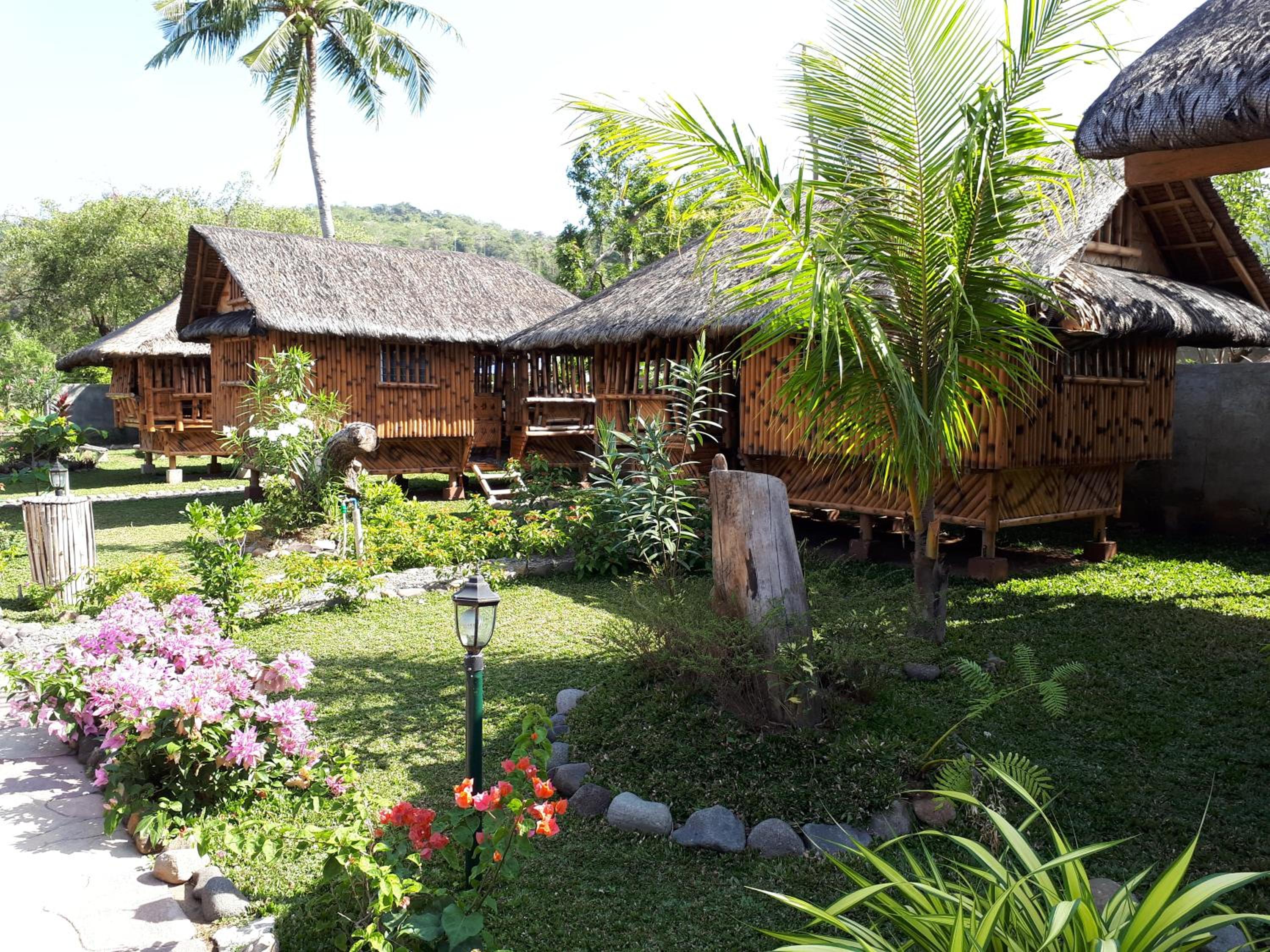 Filipino Kubo photo 3