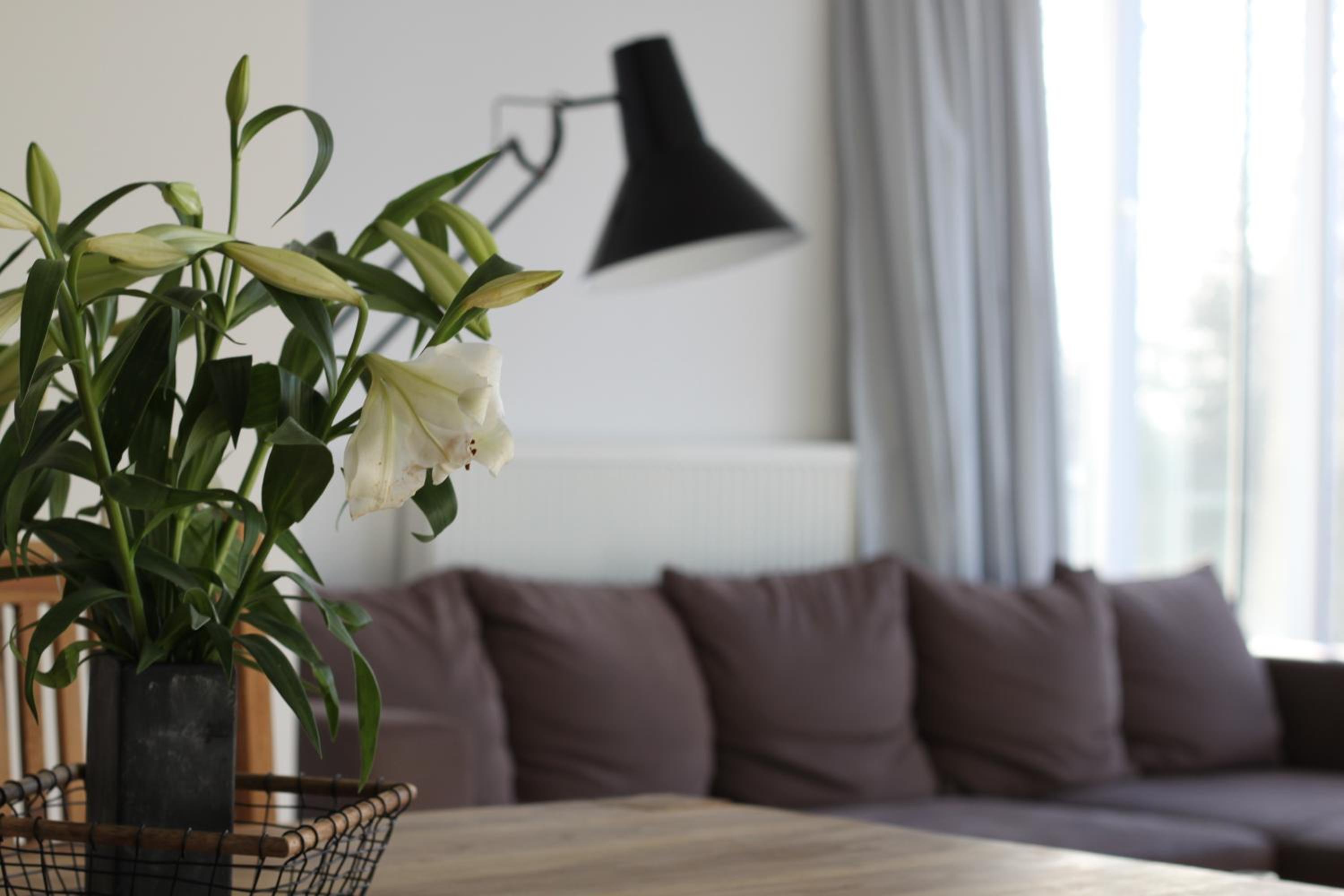 Two-Bedroom Apartment with Balcony and Terrace photo 1