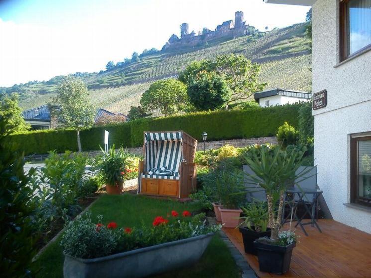 Apartment with Terrace photo 2
