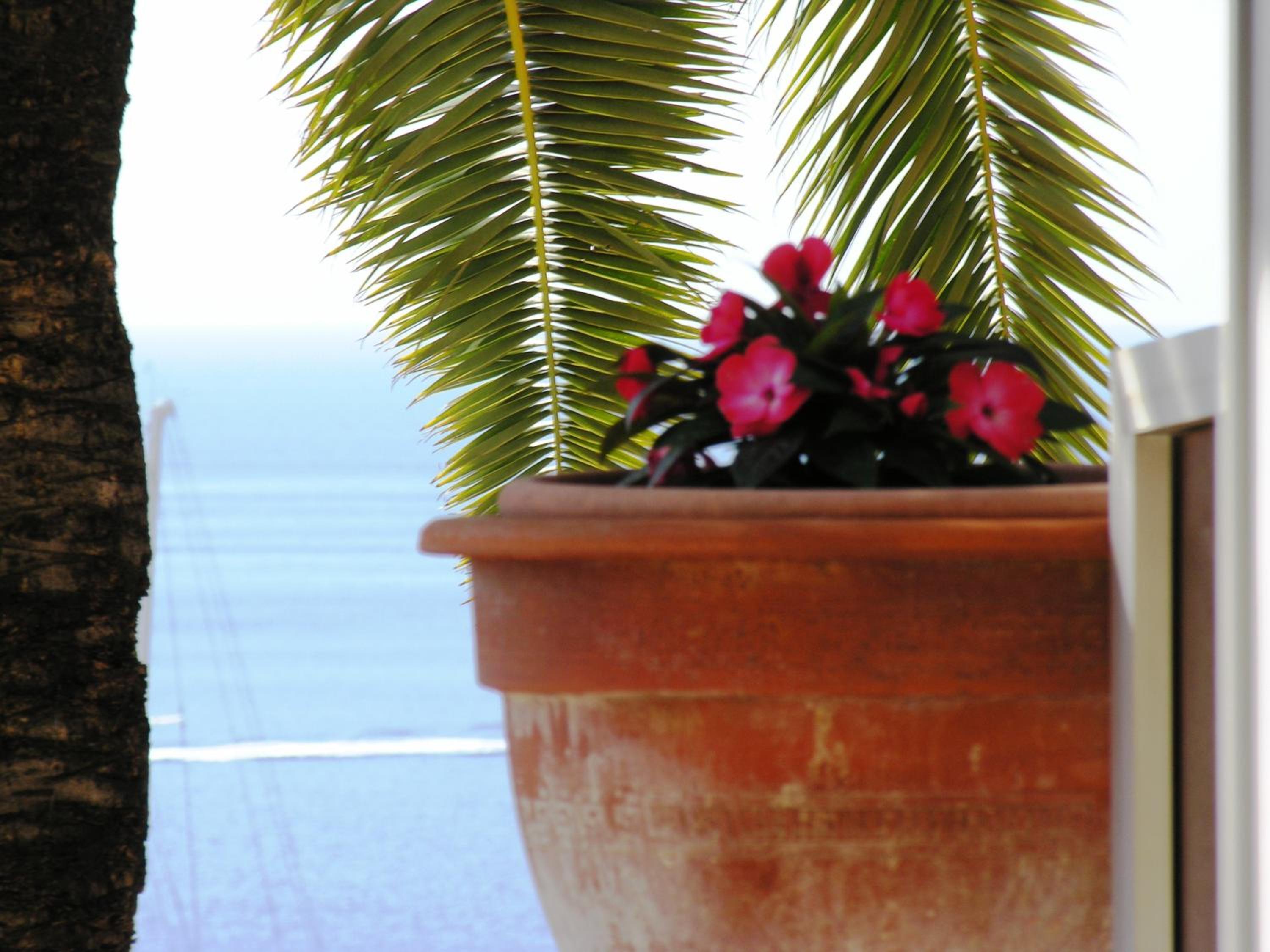 Double Room with Sea View and Terrace - Photo 6