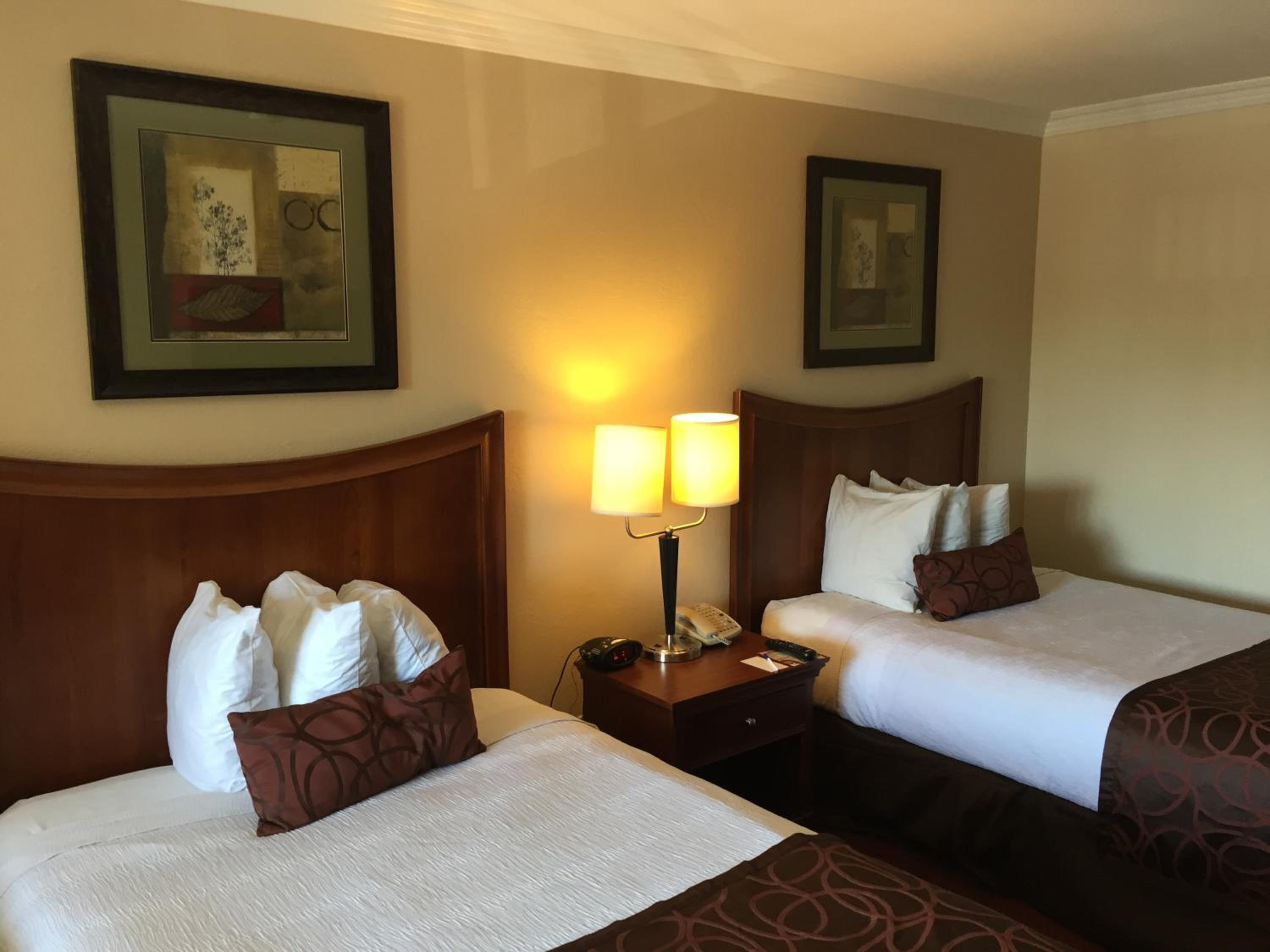 Standard Double Room - Photo 1