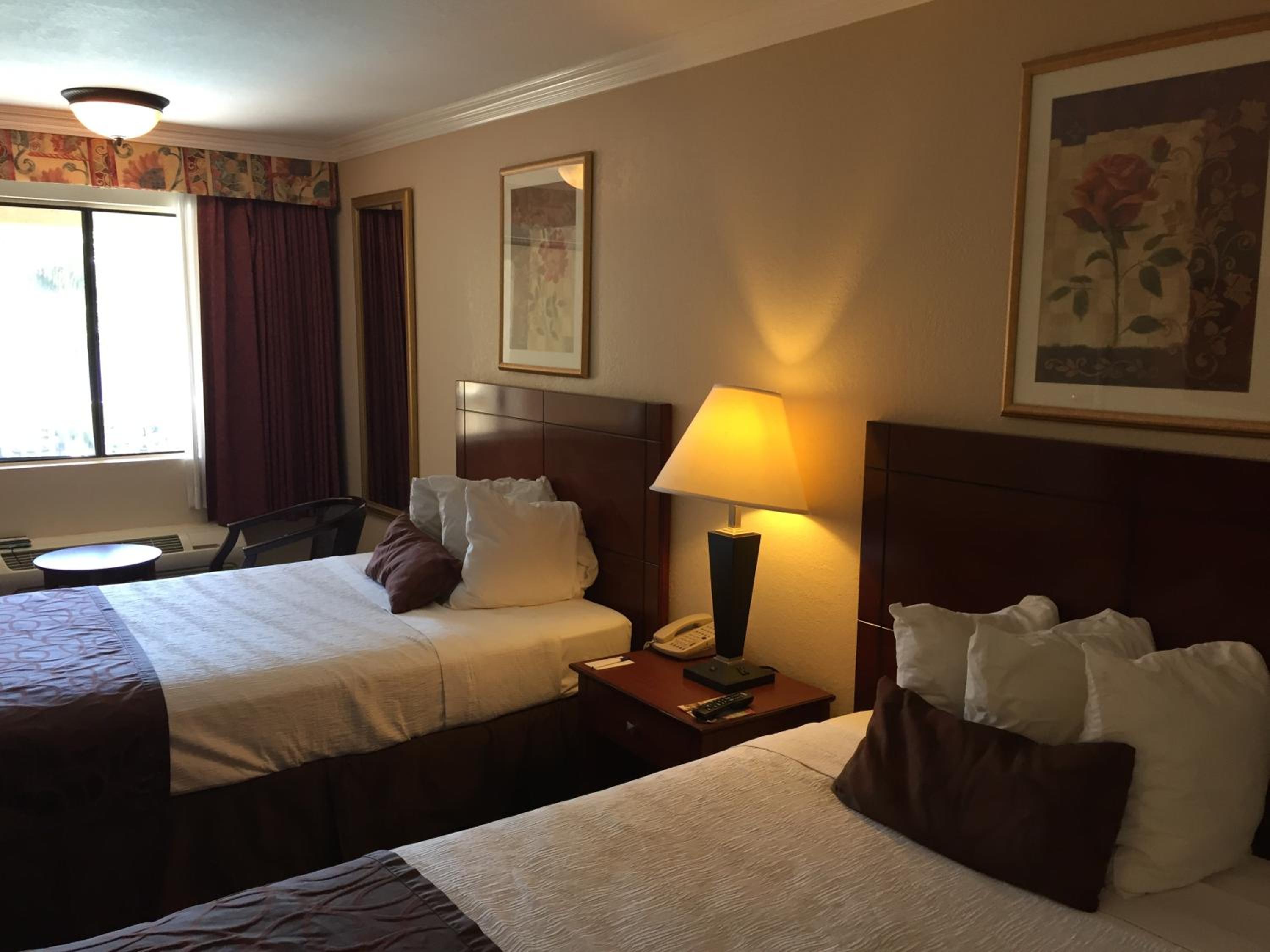Standard Double Room - Photo 2