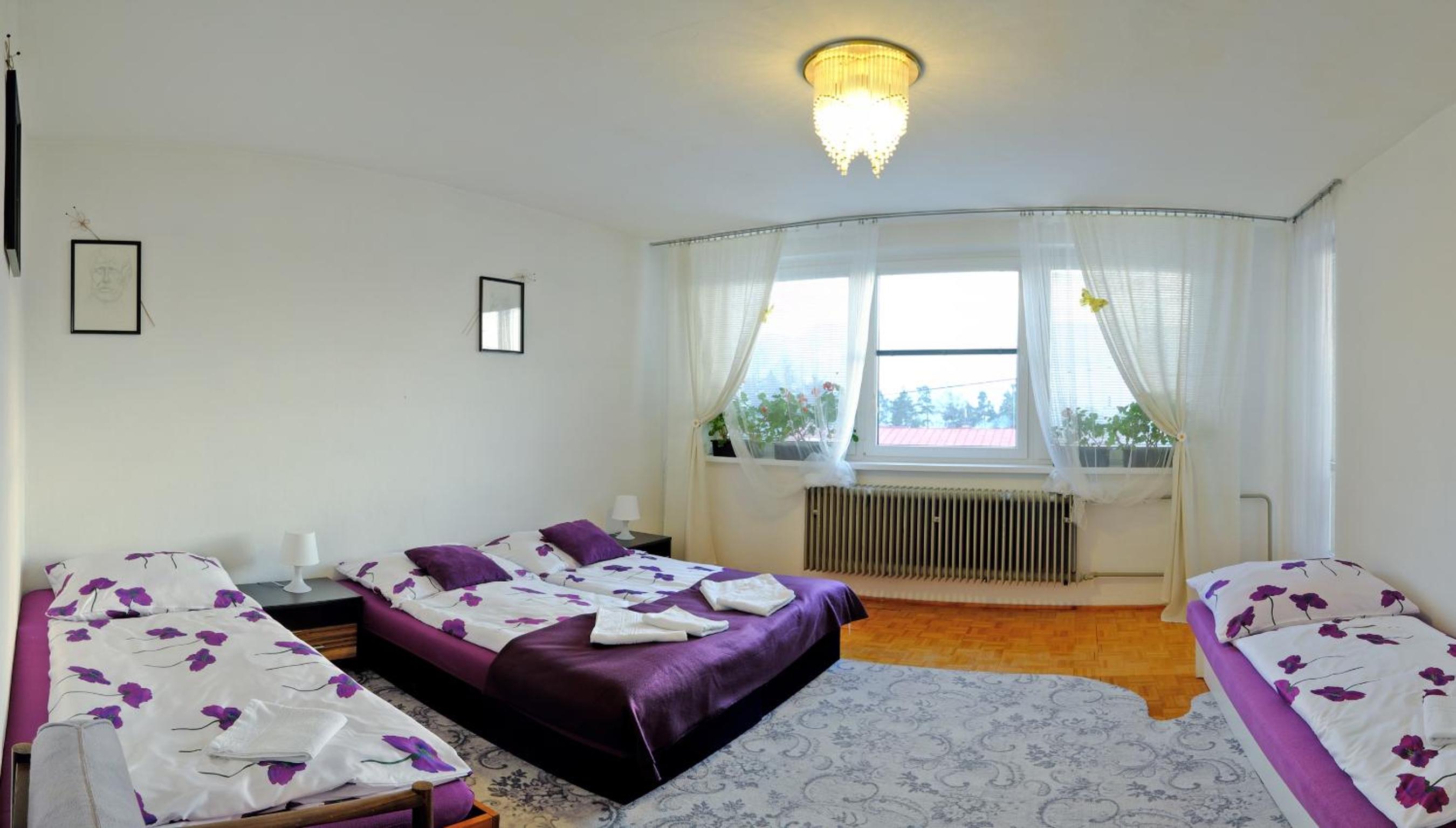 Double Room with Balcony photo 1