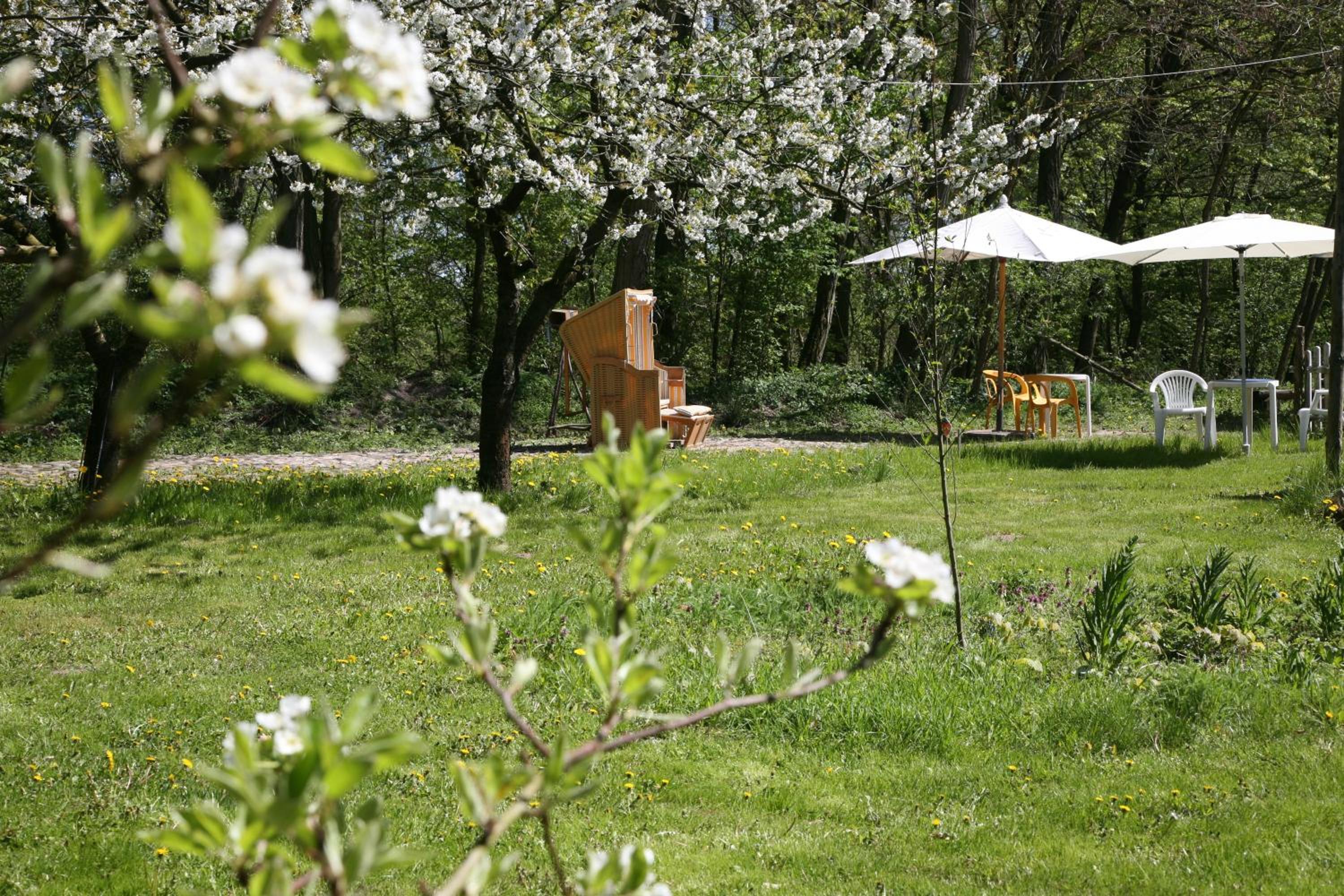 Studio with Garden View - Photo 6