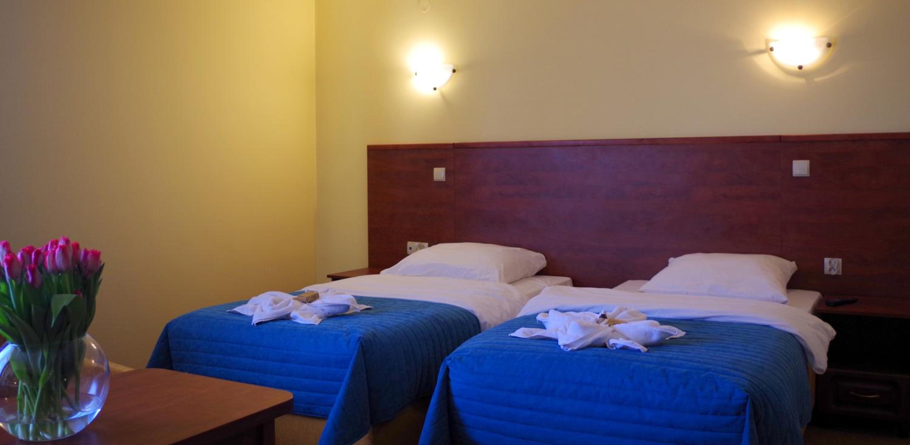 Single Room photo 1