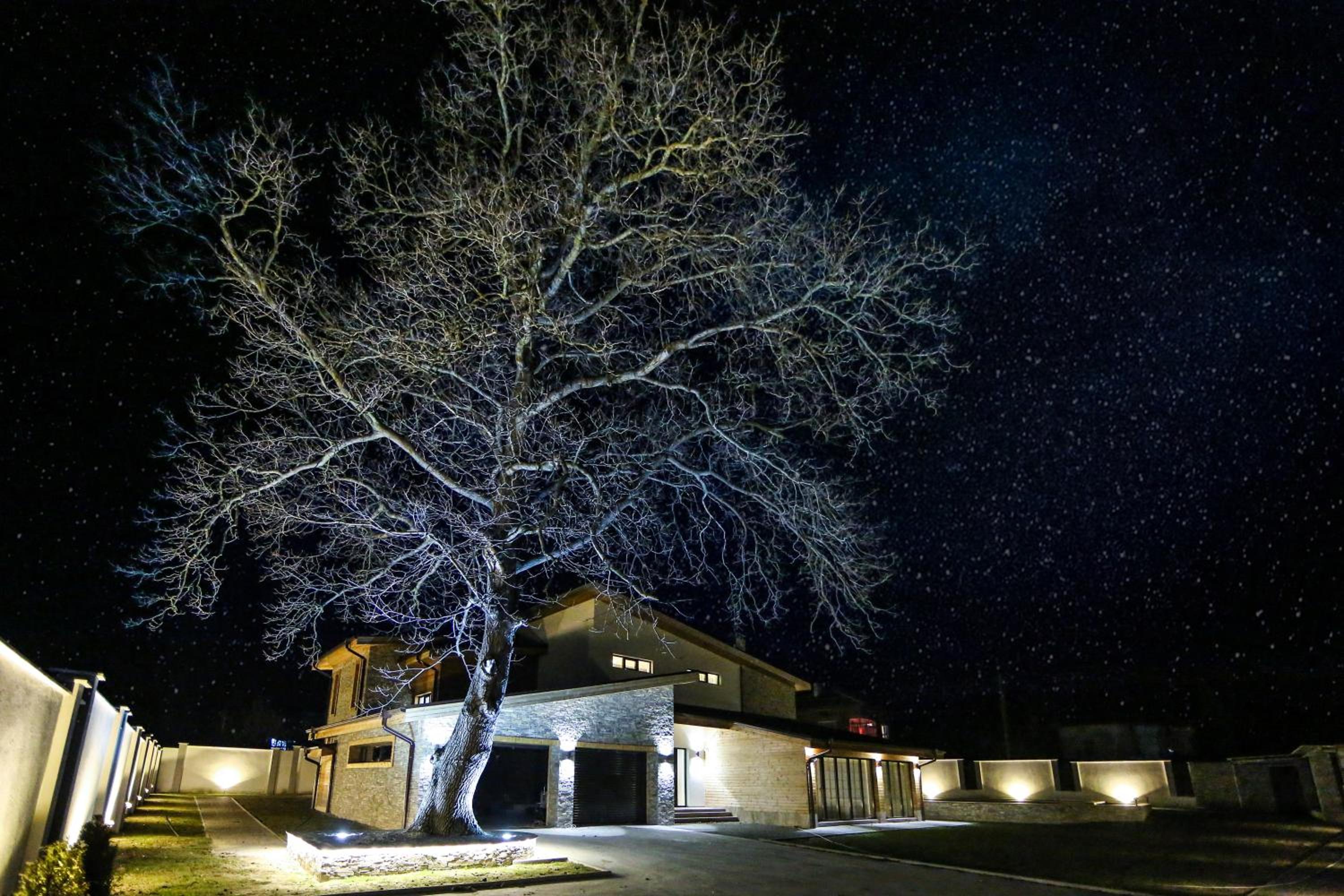 Villa photo 2