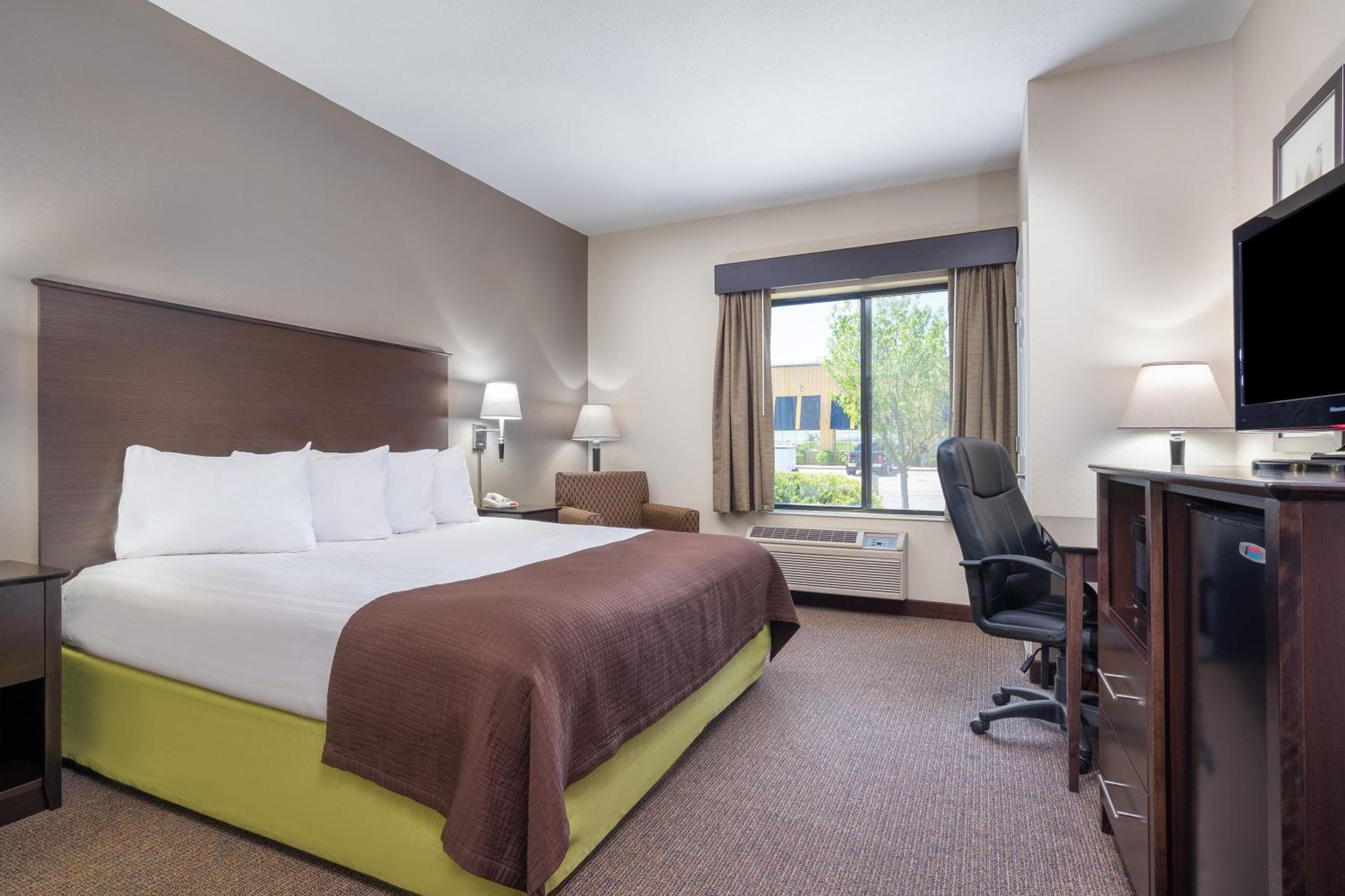Queen Room - Mobility Accessible/Pet Friendly/ Non-Smoking - Photo 2