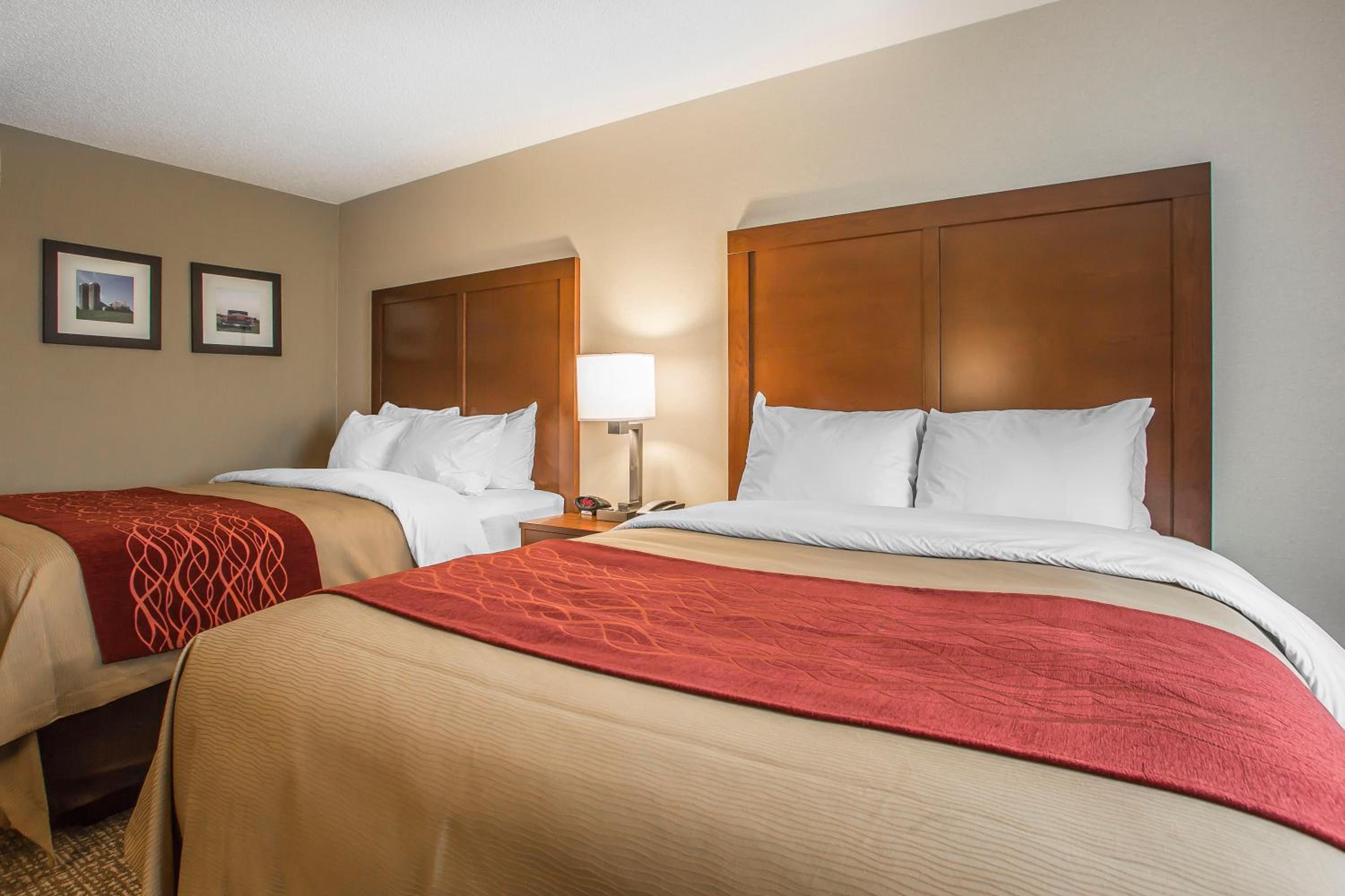 Queen Room with Two Queen Beds - Non-Smoking photo 3