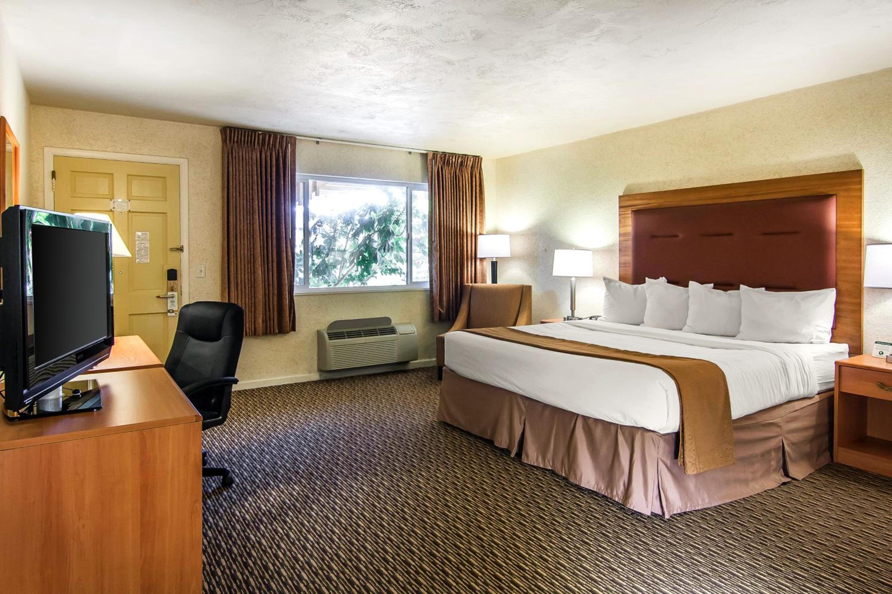King Room - Non-Smoking - Photo 6