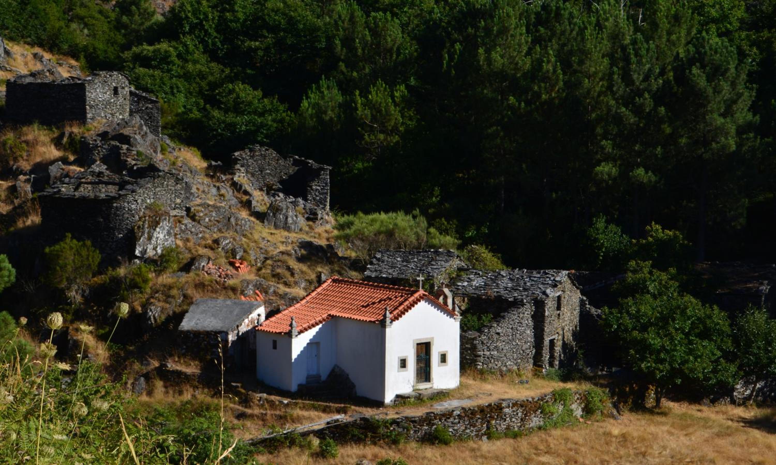 Vacation Home photo 3