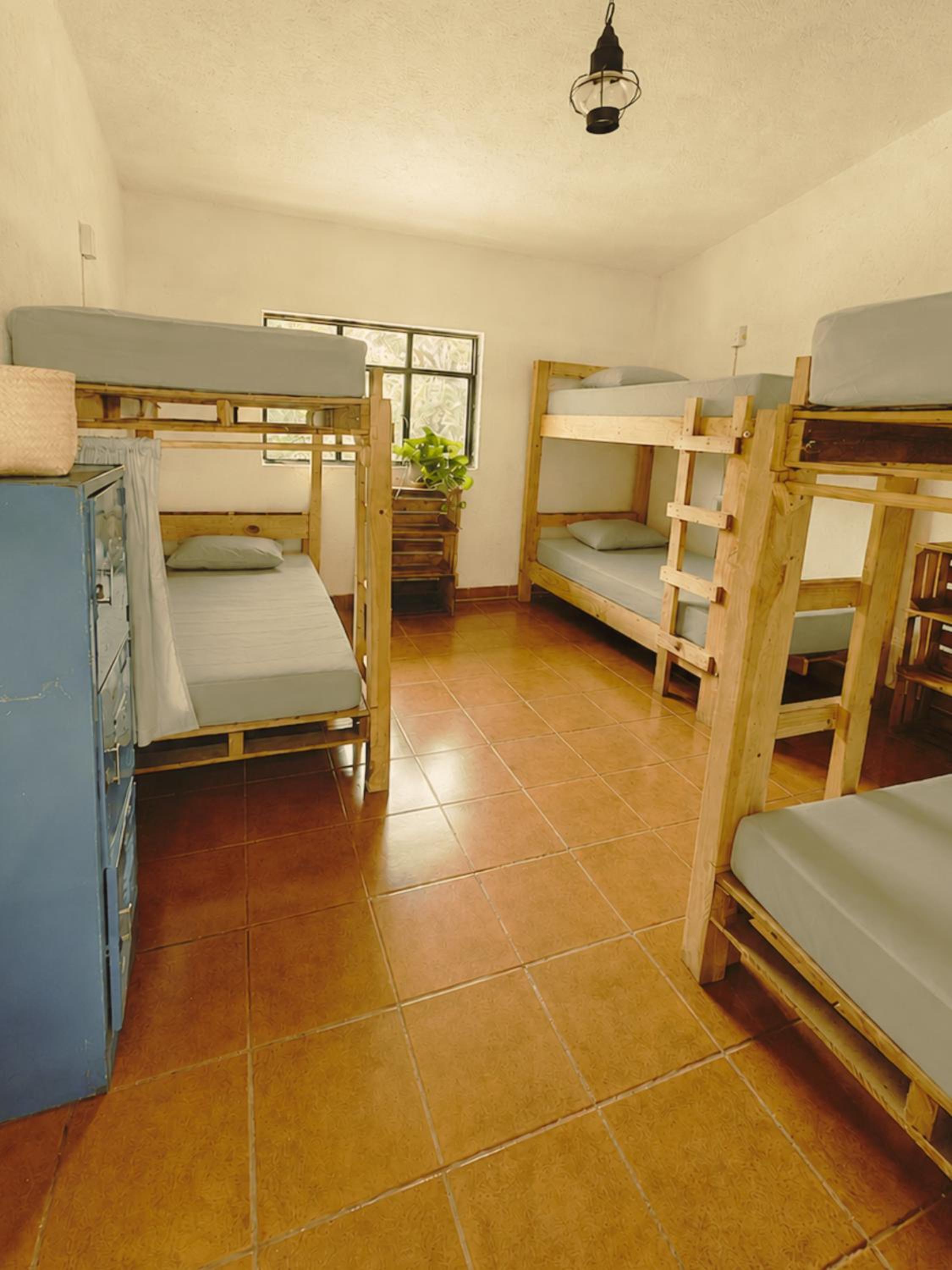 6-Bed Mixed Dormitory Room photo 2