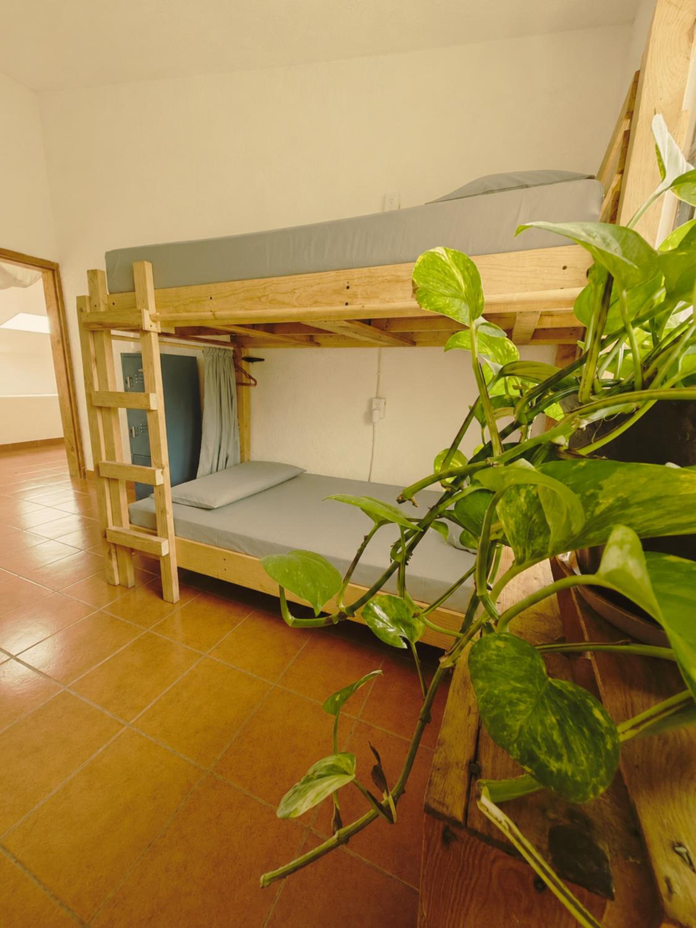 6-Bed Mixed Dormitory Room photo 3