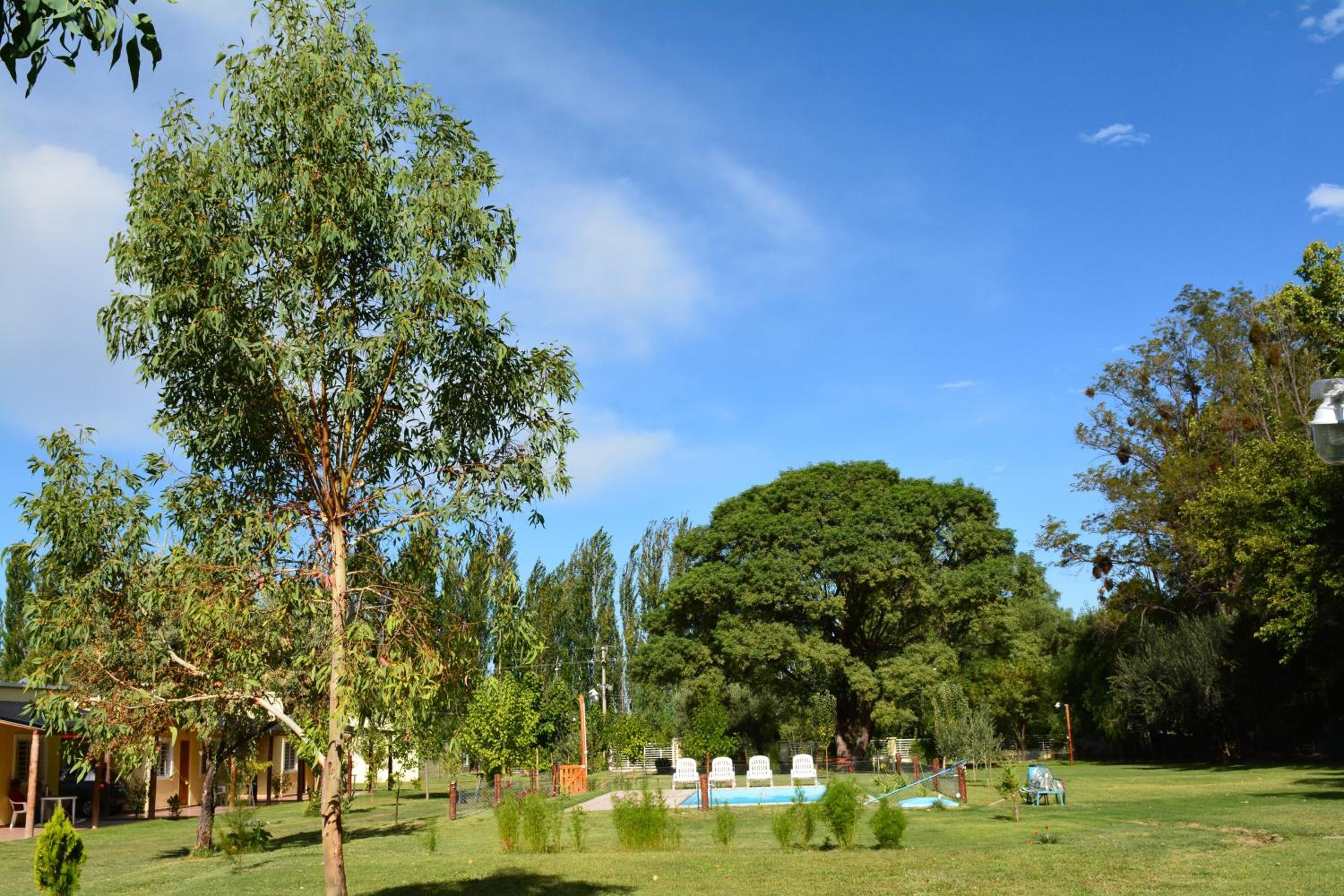 Apartment with Garden View photo 3