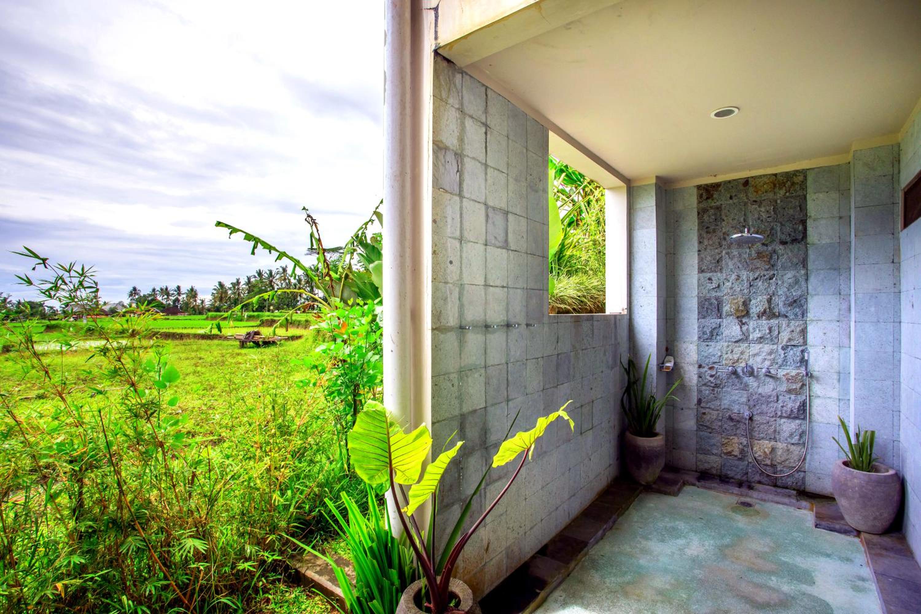 Deluxe Villa - Photo 4