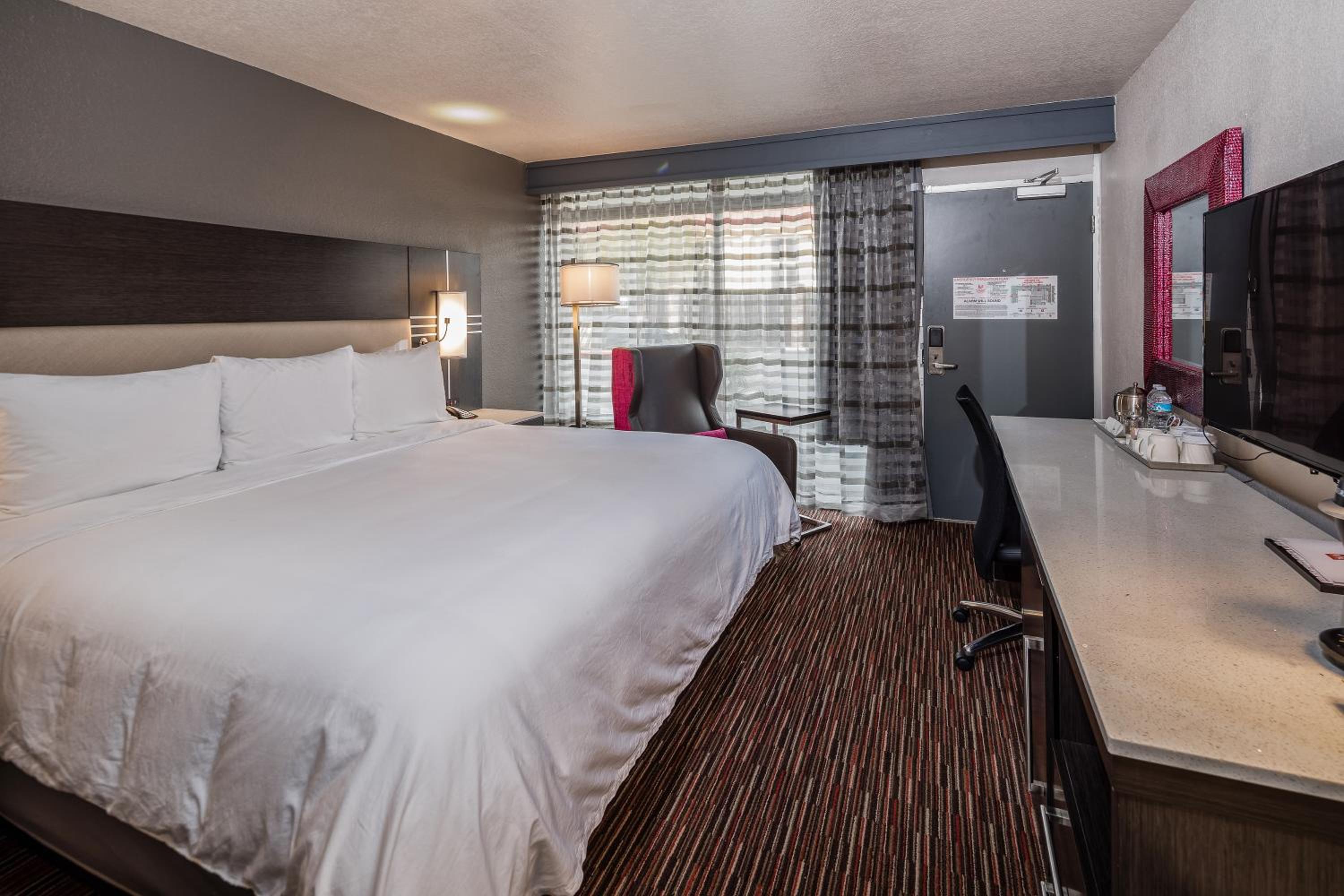 King Room photo 1