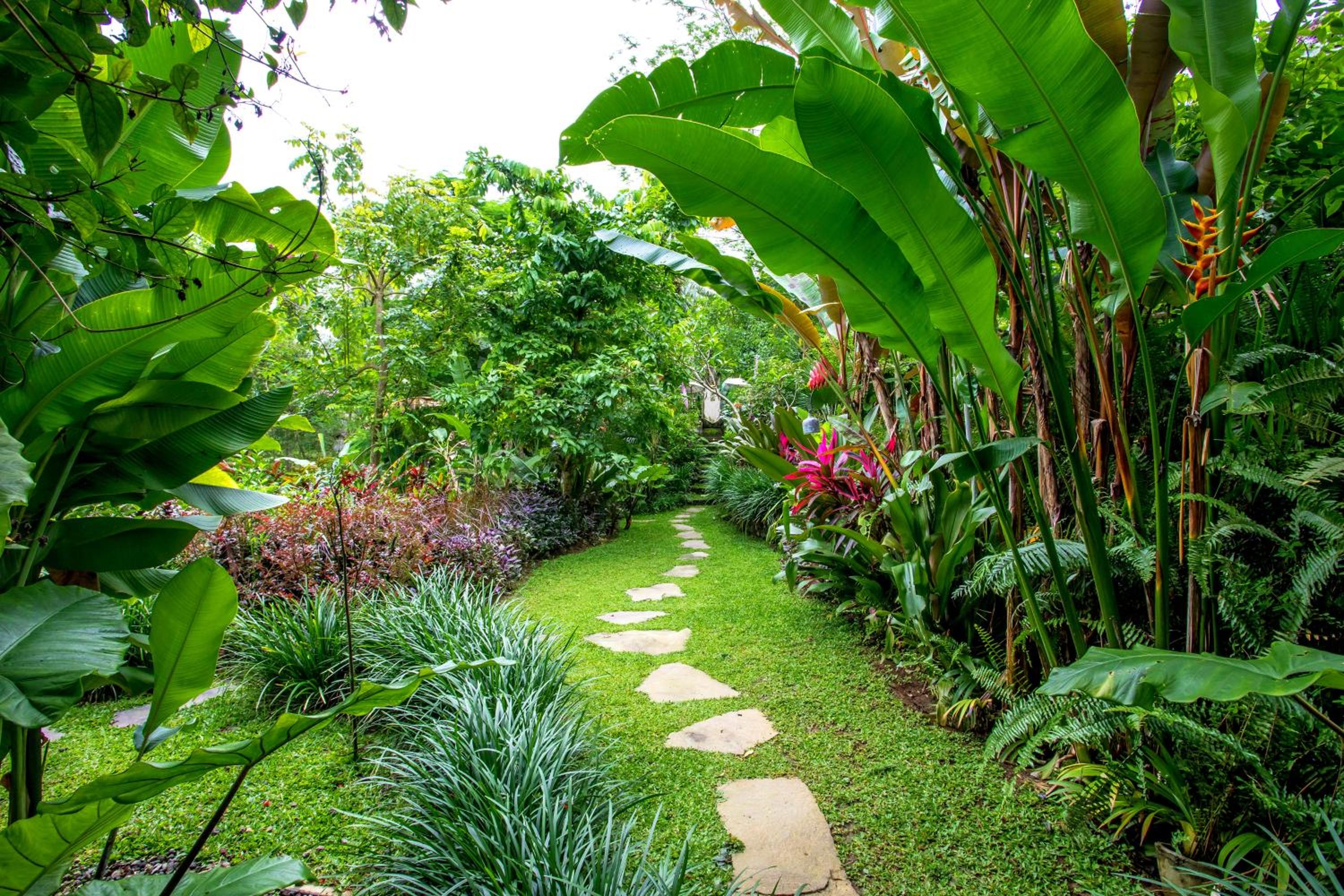 Superior Villa - Photo 17