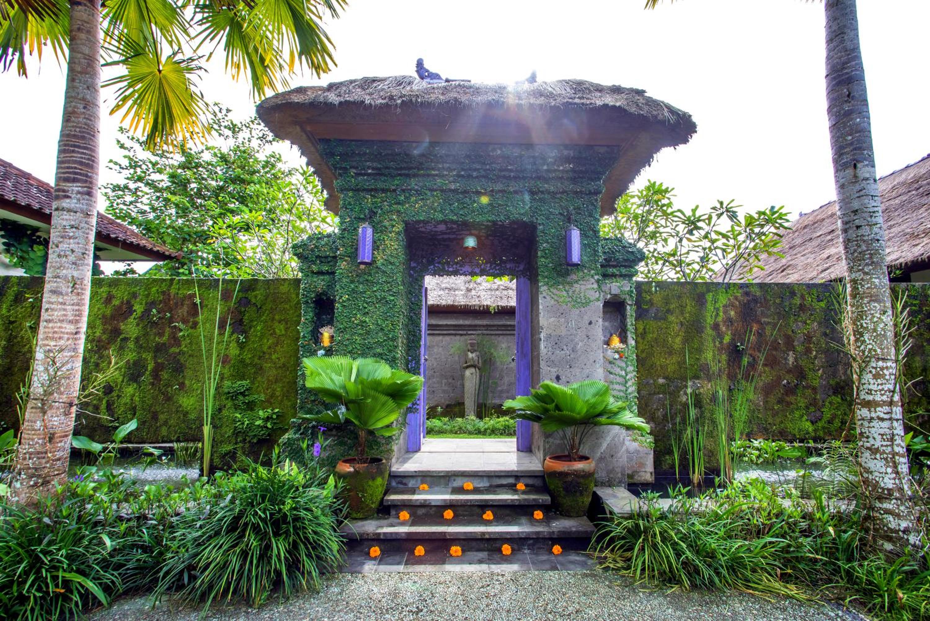 Superior Villa - Photo 15
