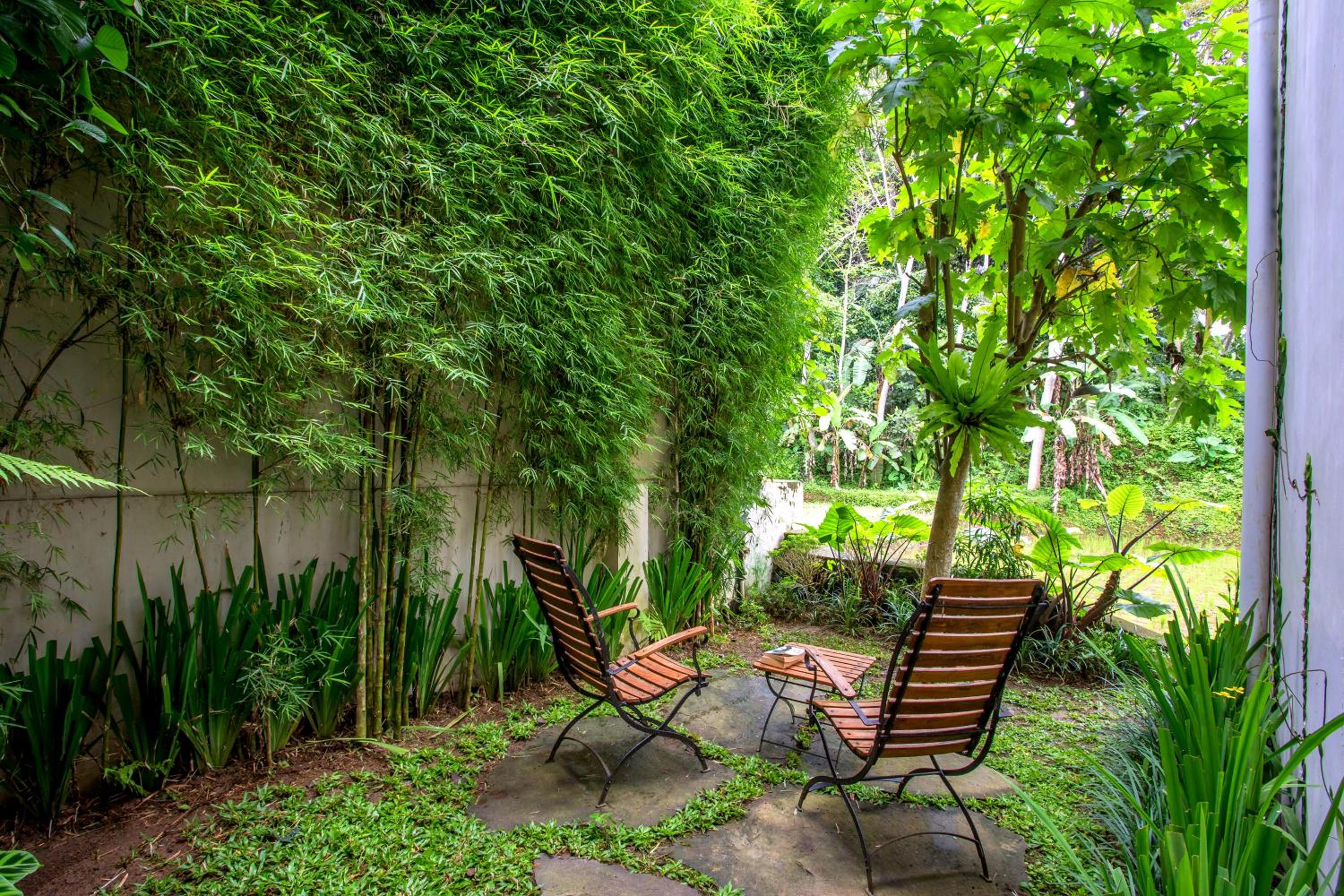 Superior Villa - Photo 20