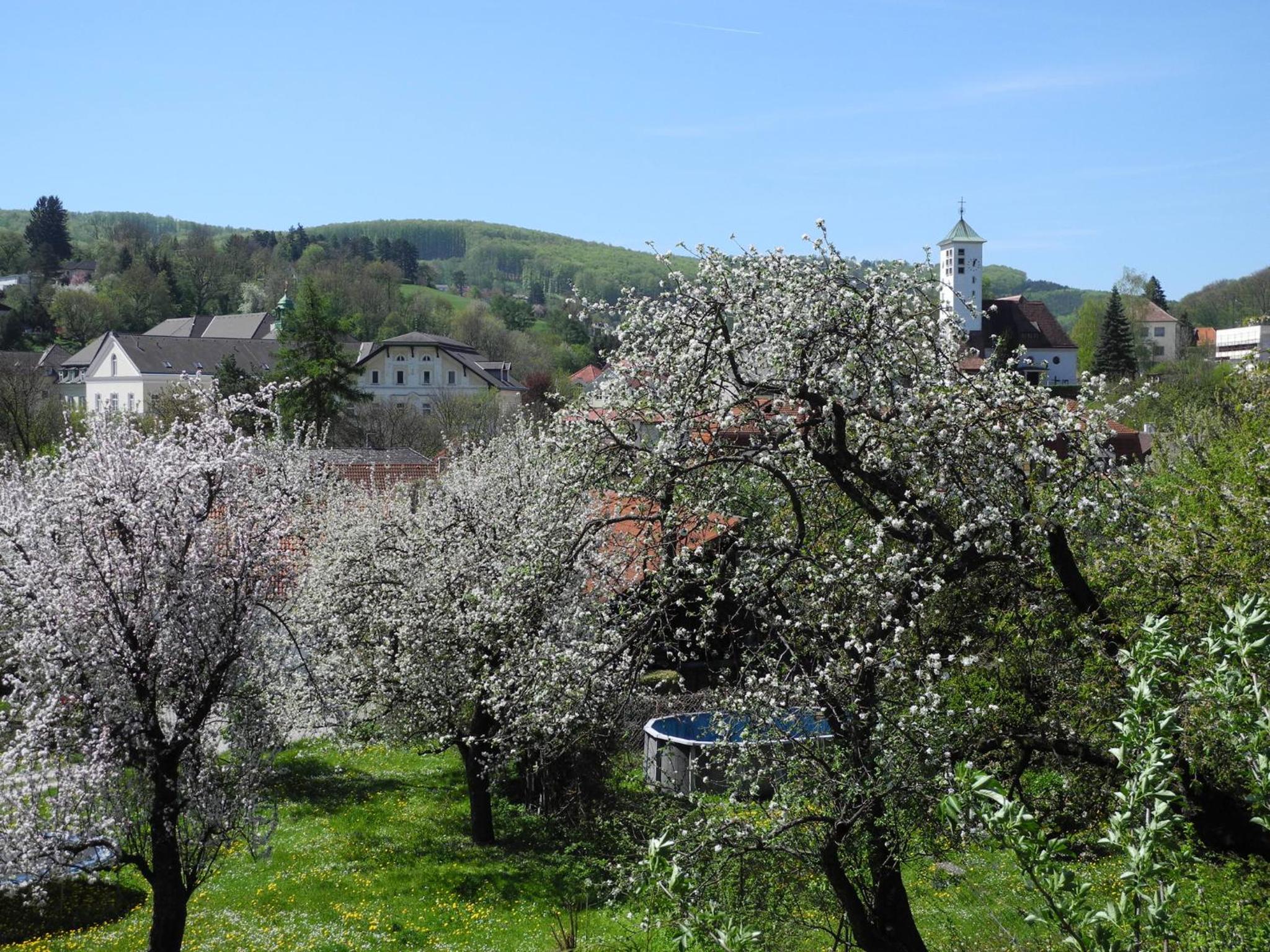 Double Room with Garden View - Photo 5