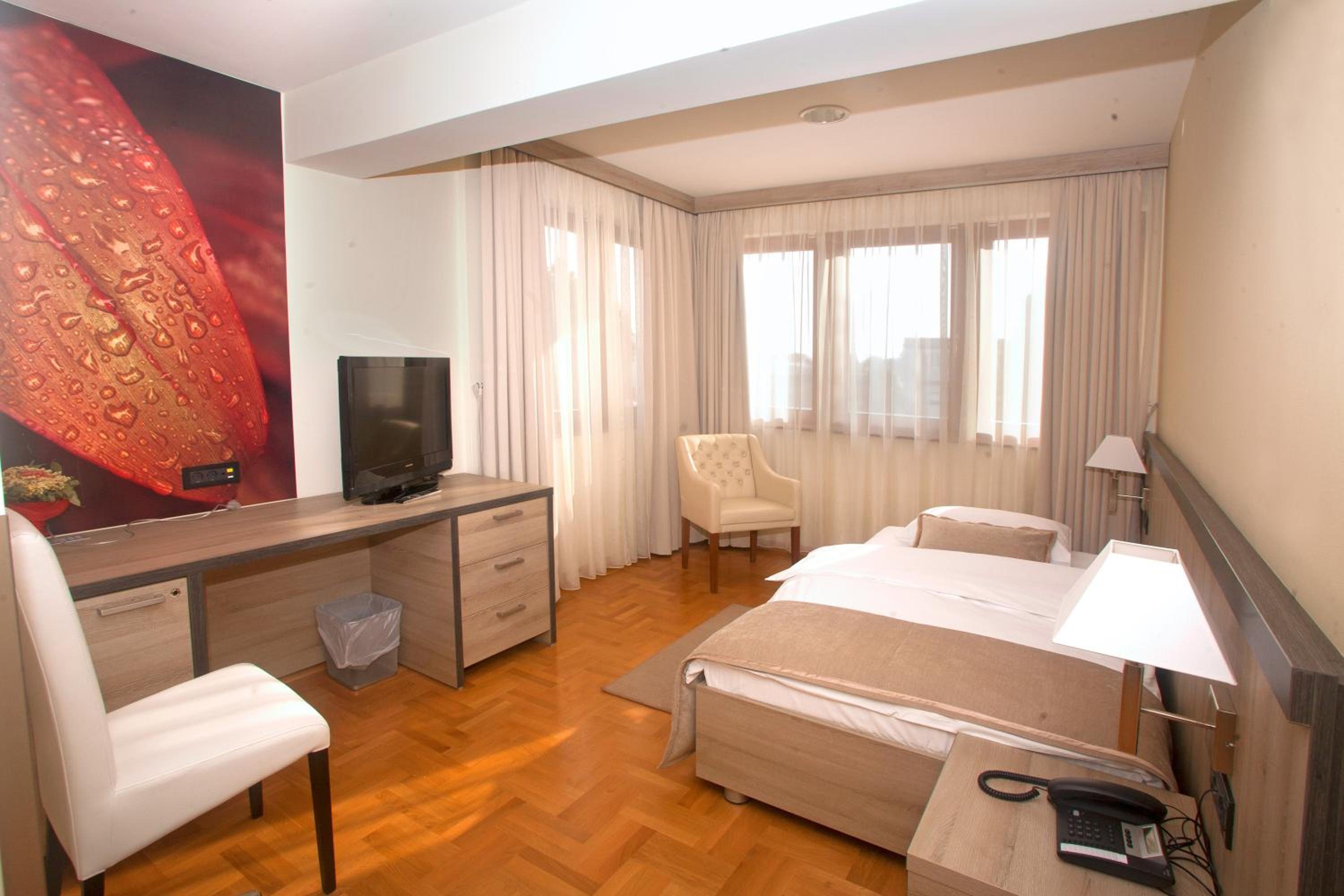 Single Room photo 3
