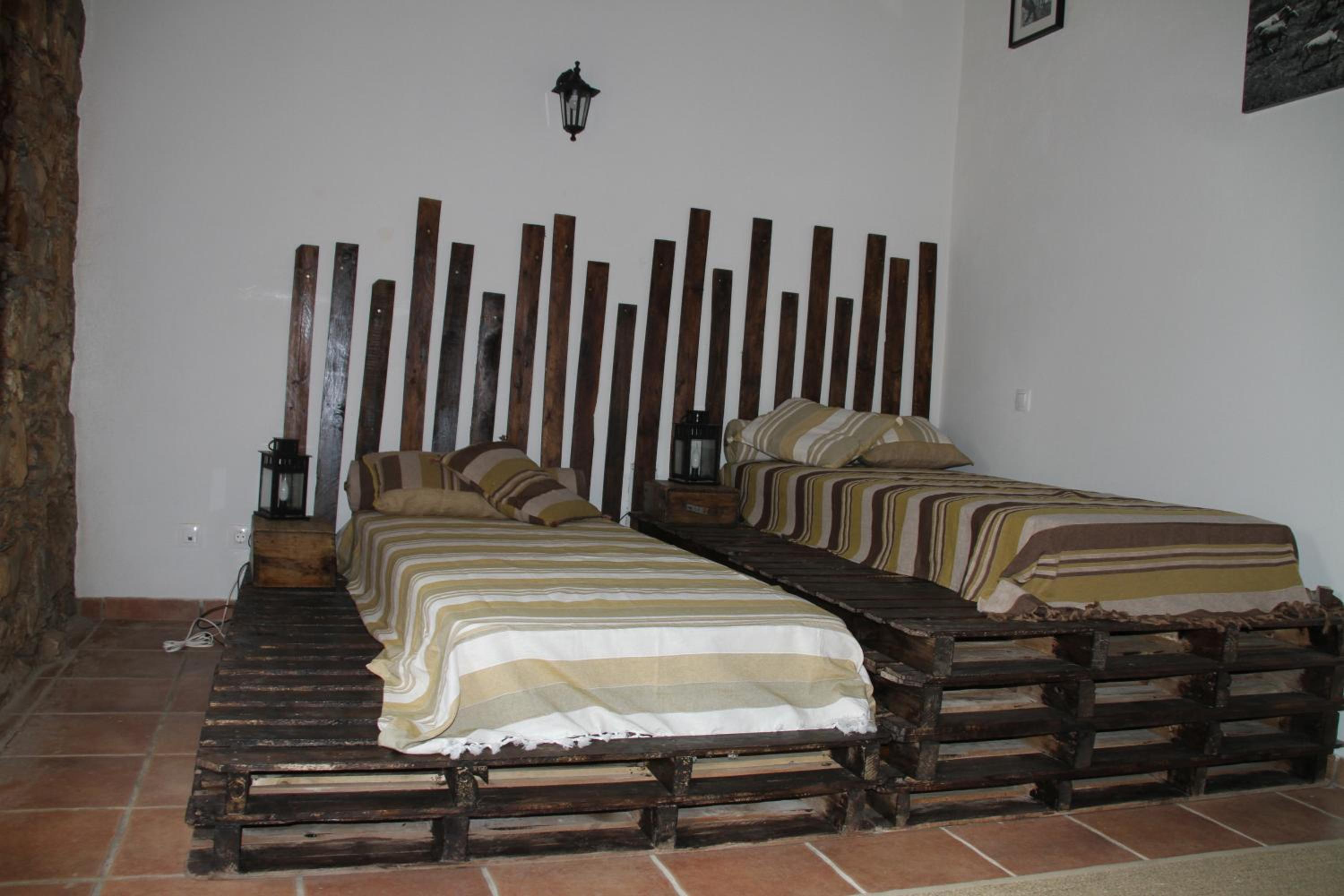 Twin Room photo 2