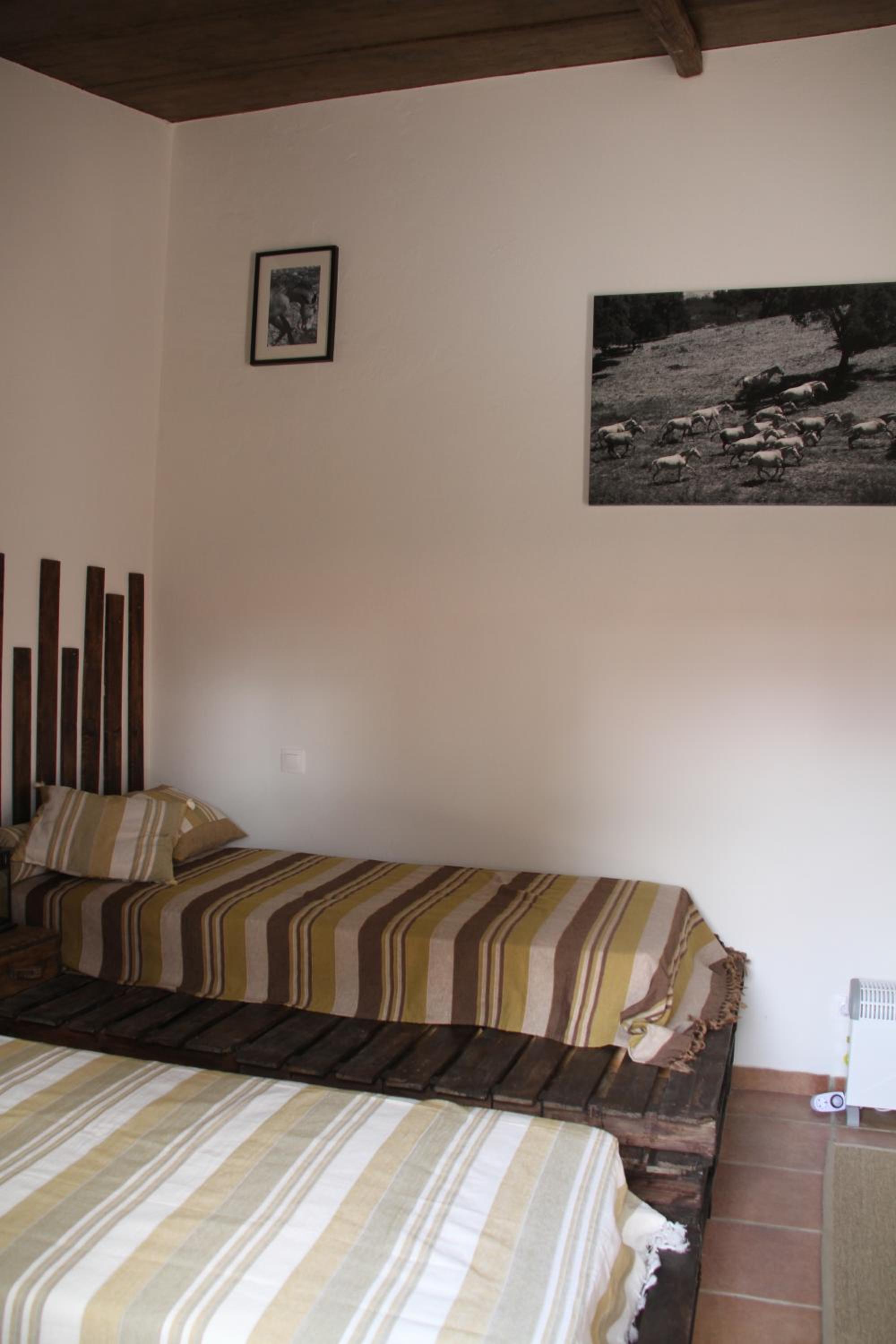 Twin Room photo 3