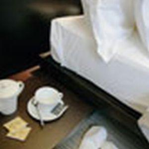 Suite - Photo 6