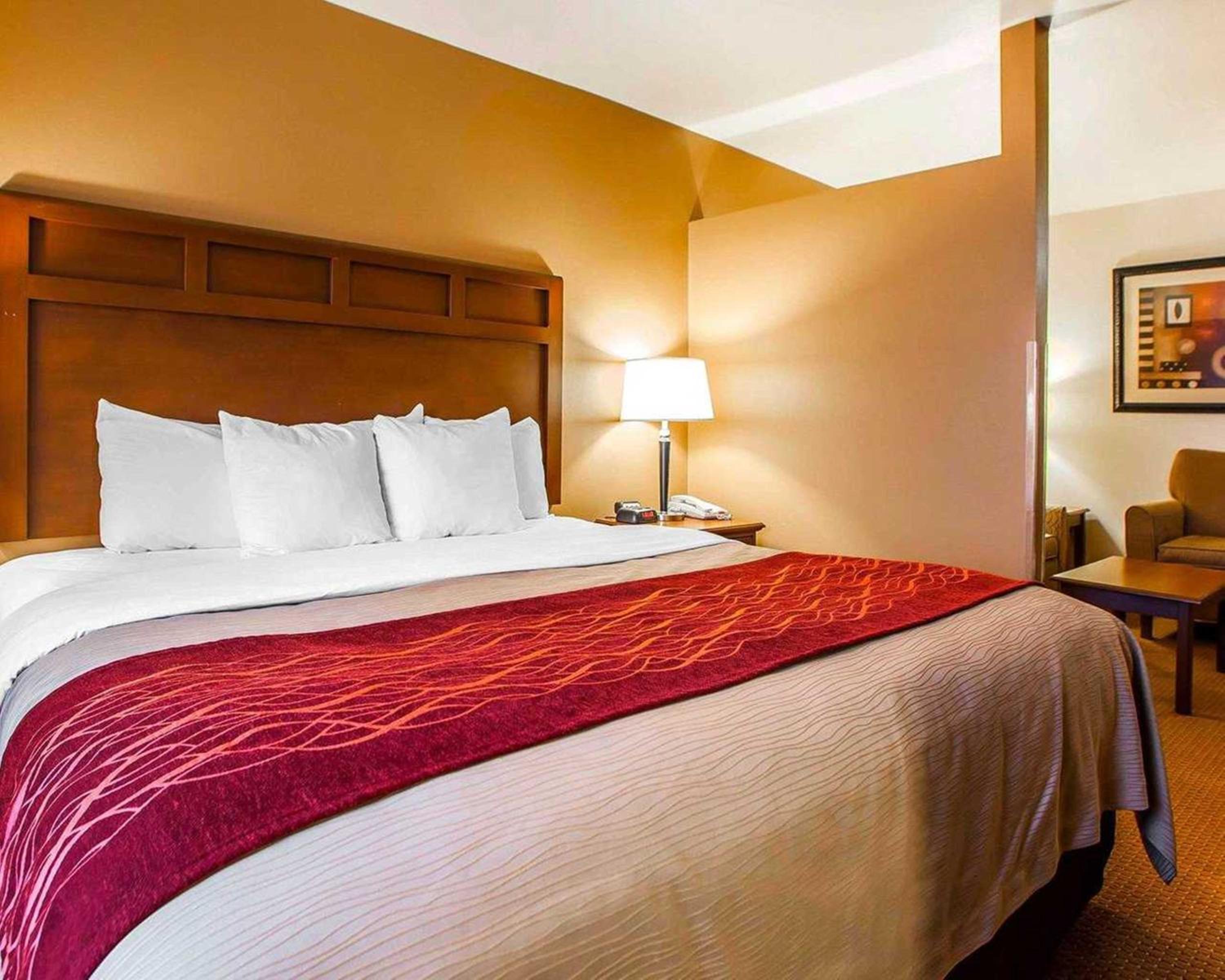 King Room - Non-Smoking - Photo 8