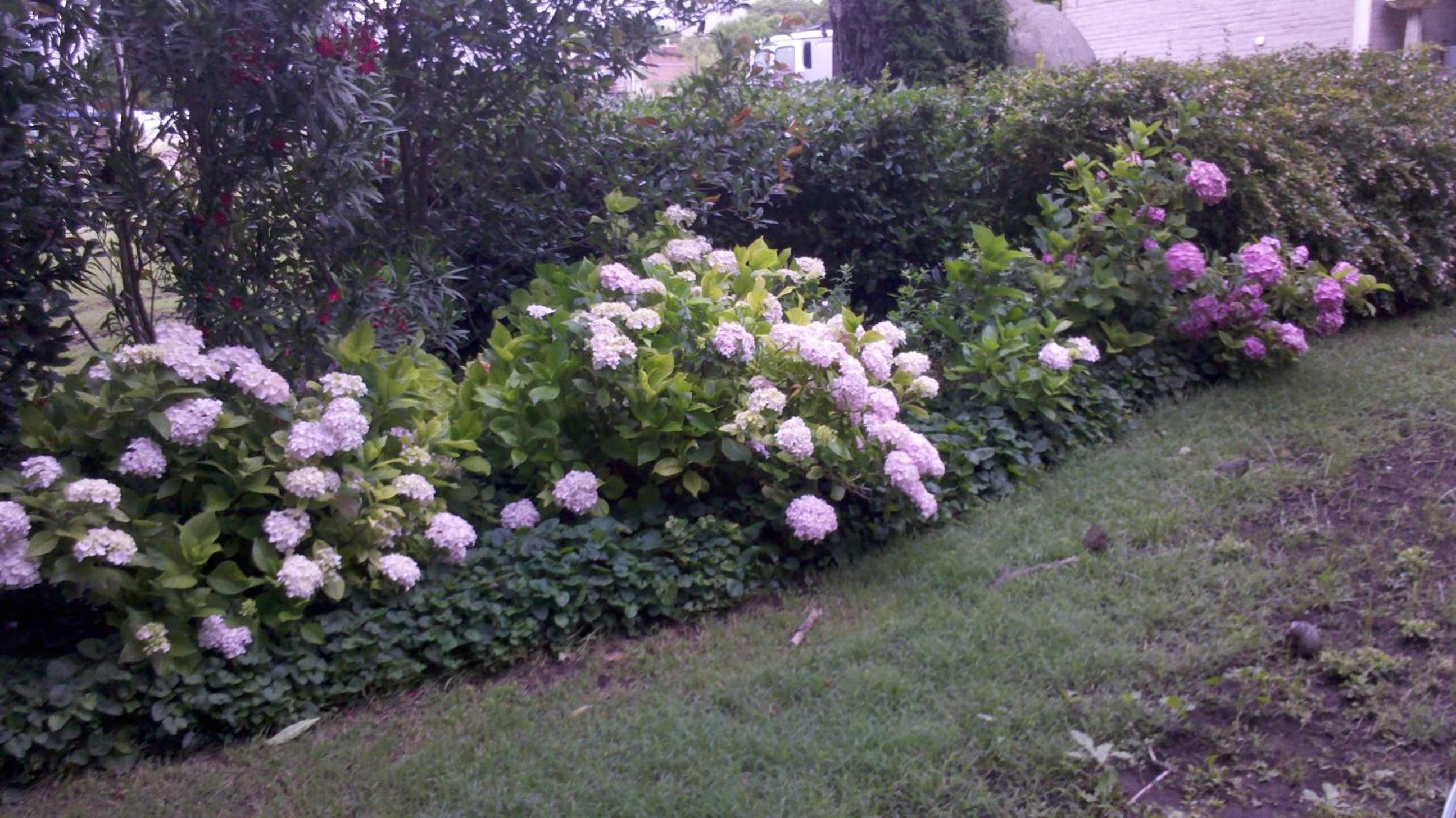 Casa Vacanze photo 2