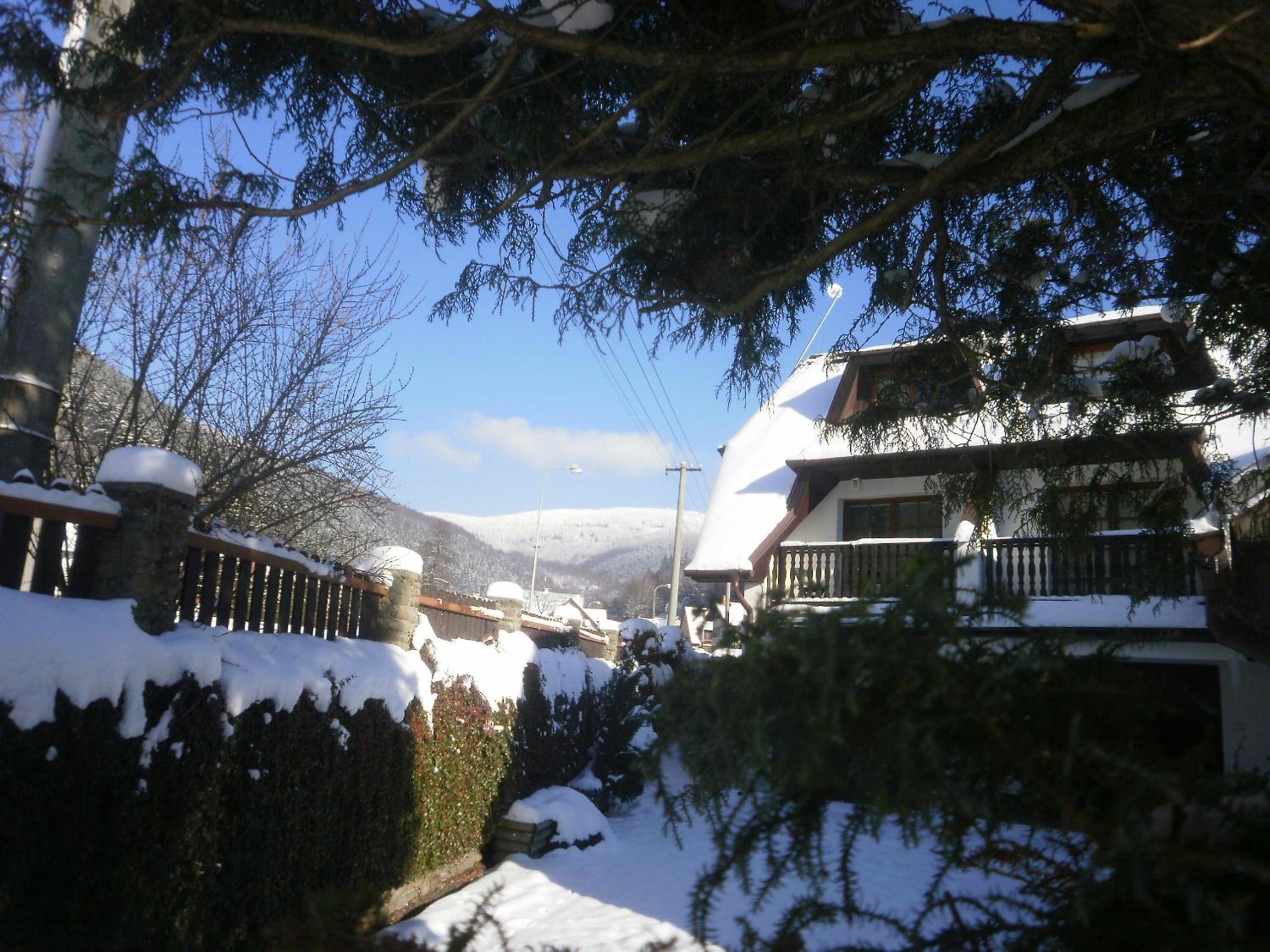 Studio with Garden View photo 2