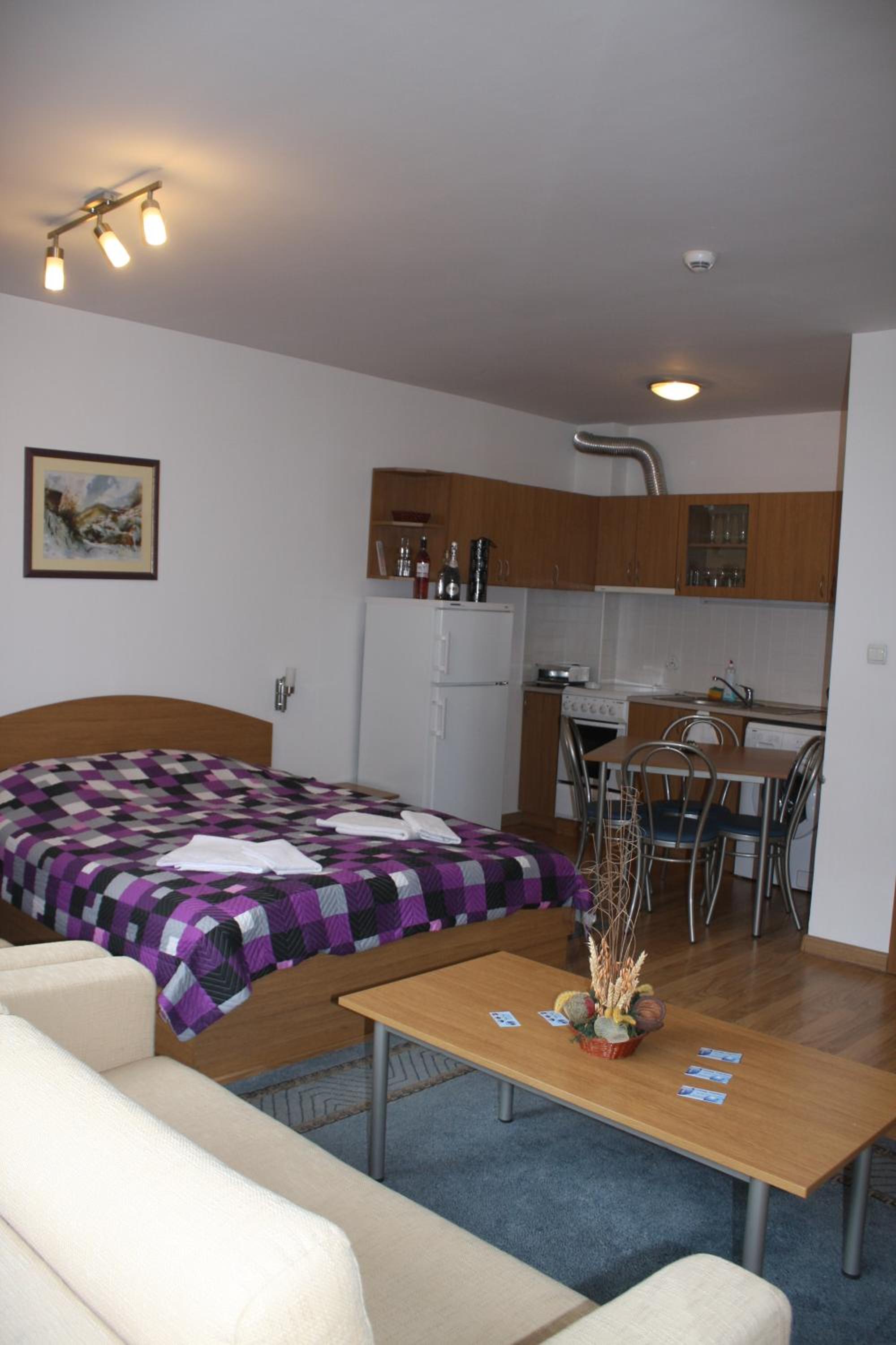 Studio Apartment photo 1