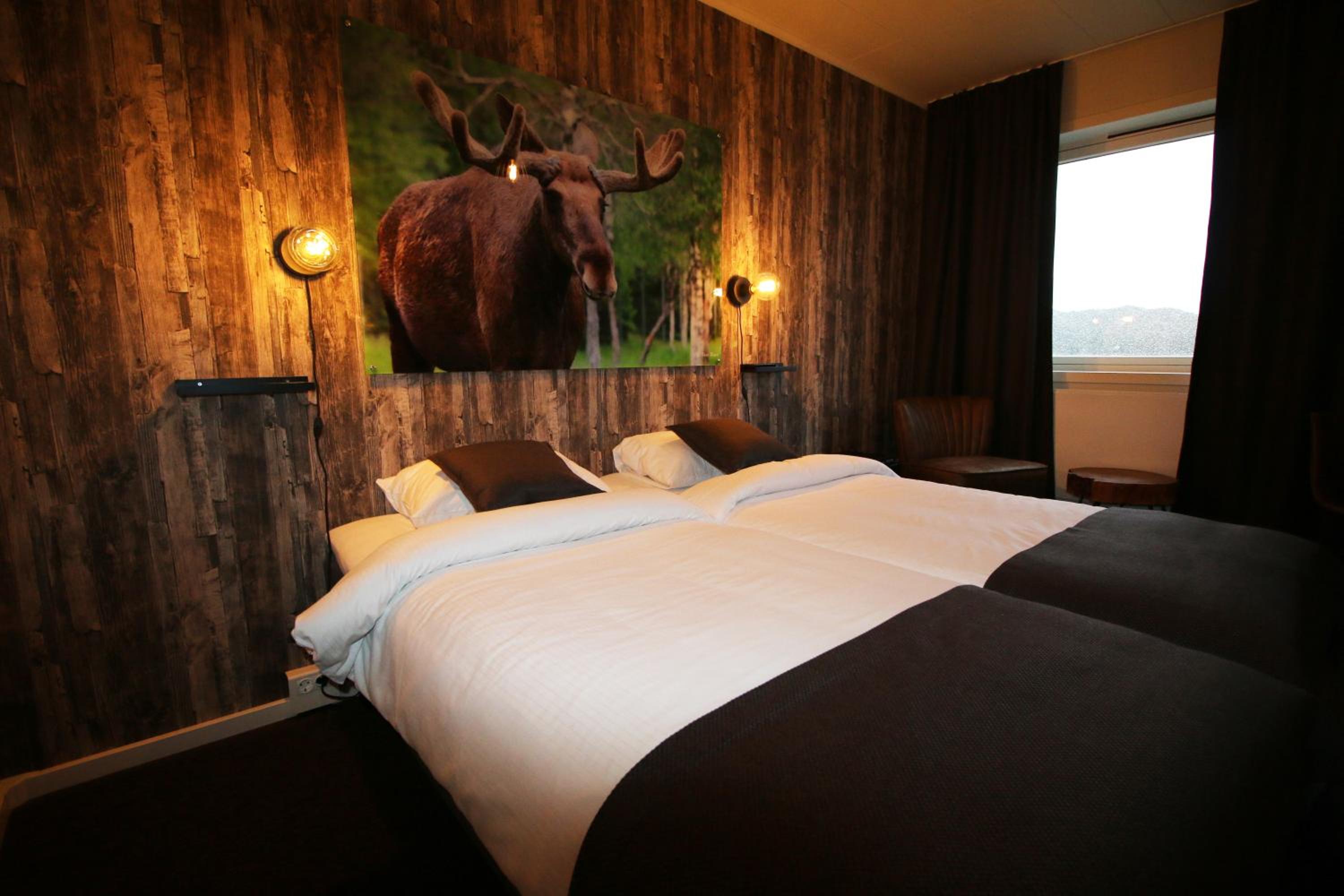Twin Room photo 1