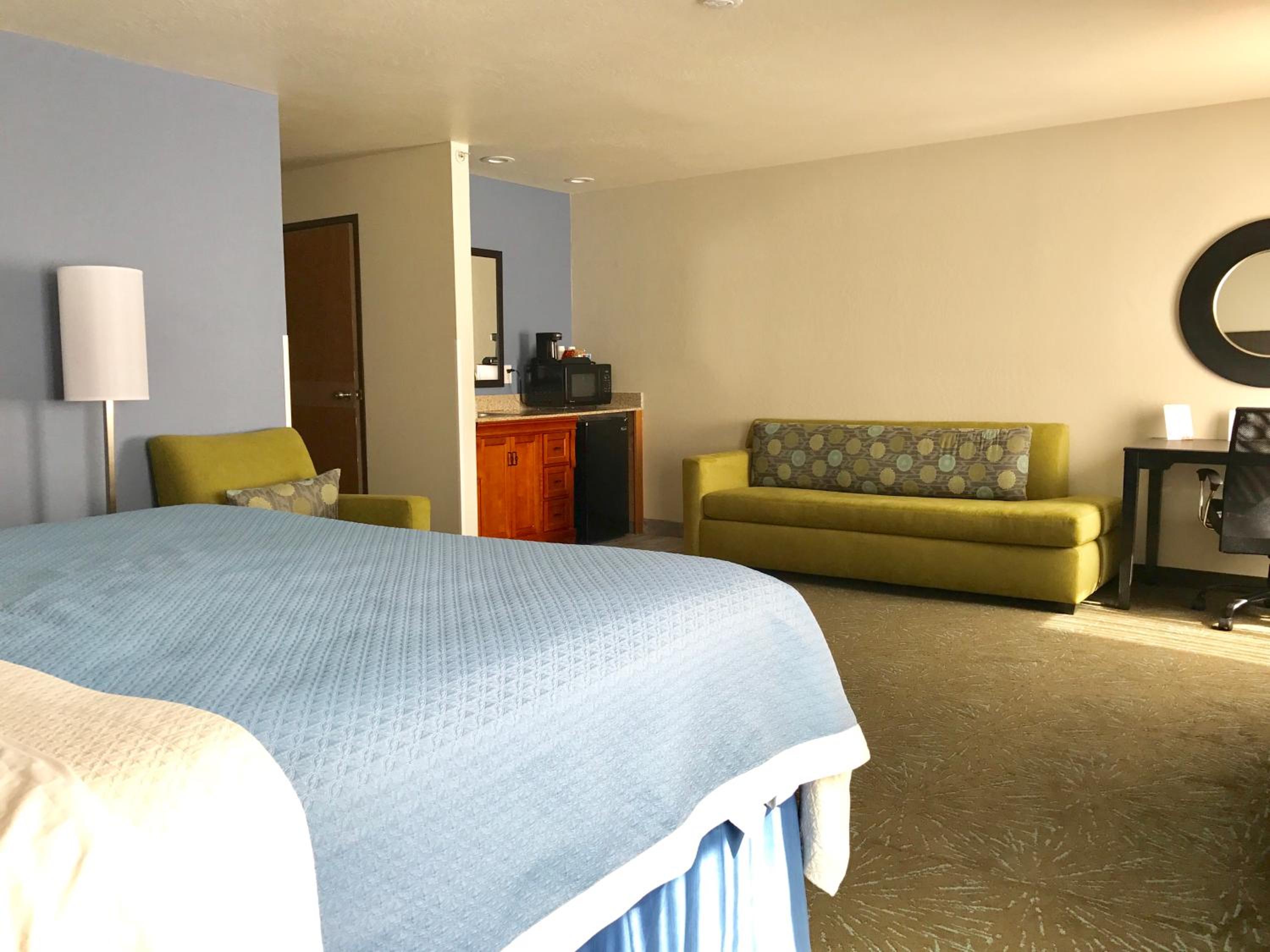 King Studio Suite - Non-Smoking (No Pets Allowed) - Photo 10