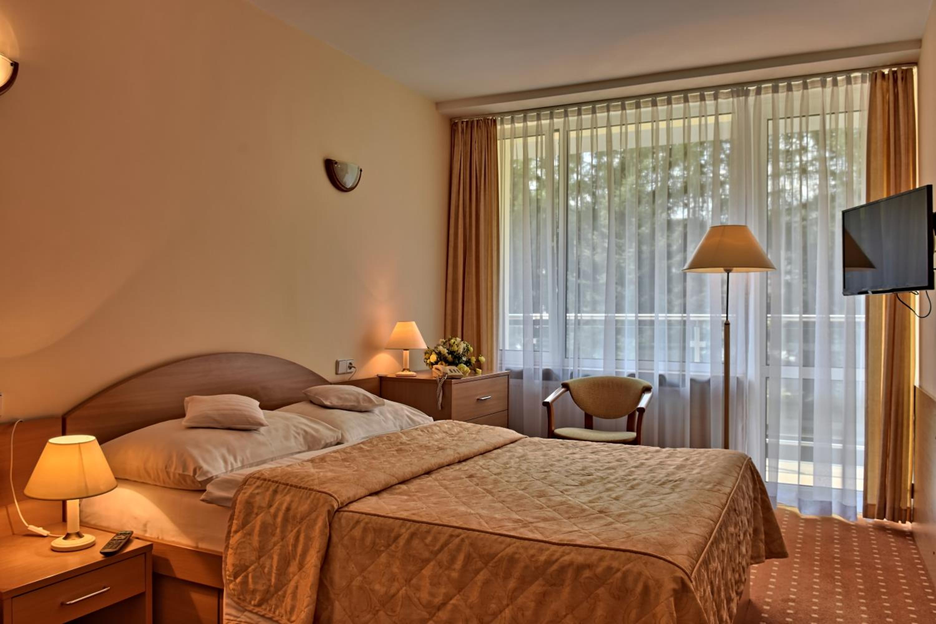Studio (2 Adults) - Photo 2