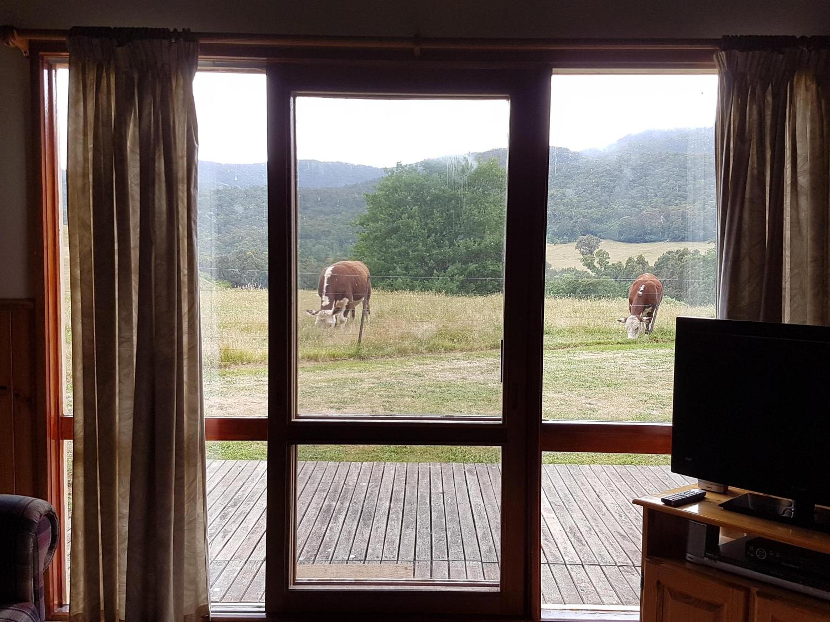Two-Bedroom Chalet photo 2