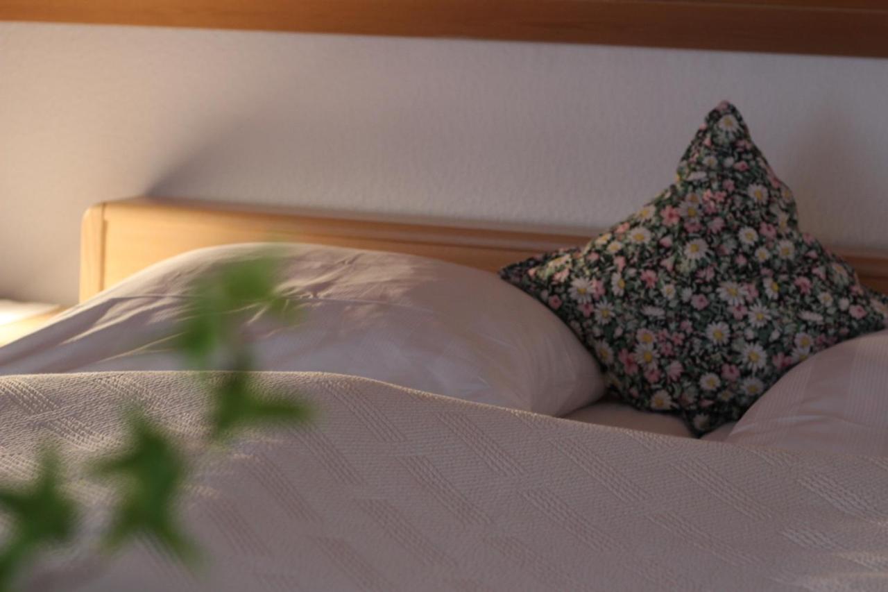 Studio with Sofa Bed photo 2