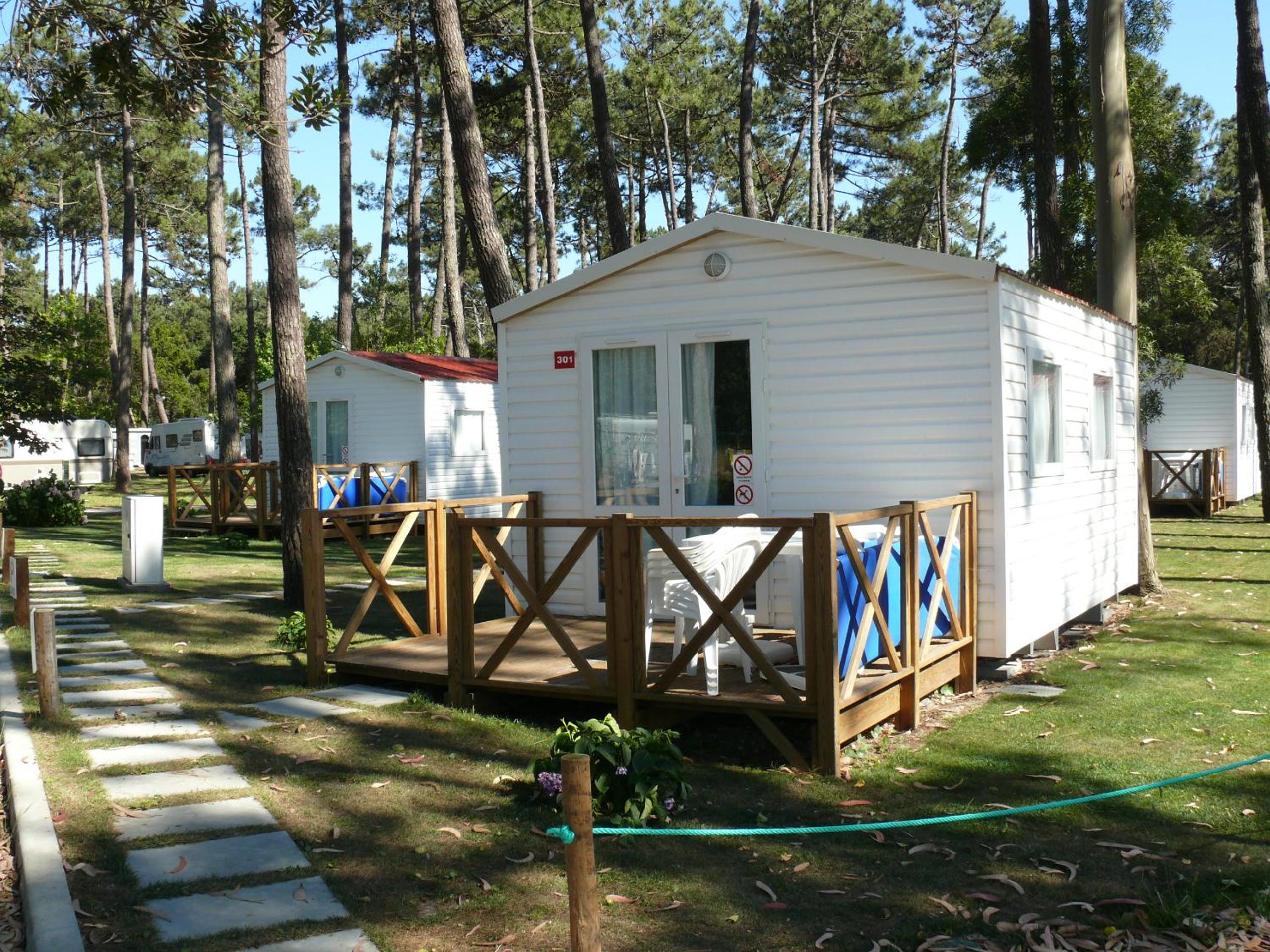 Mobile Home photo 3