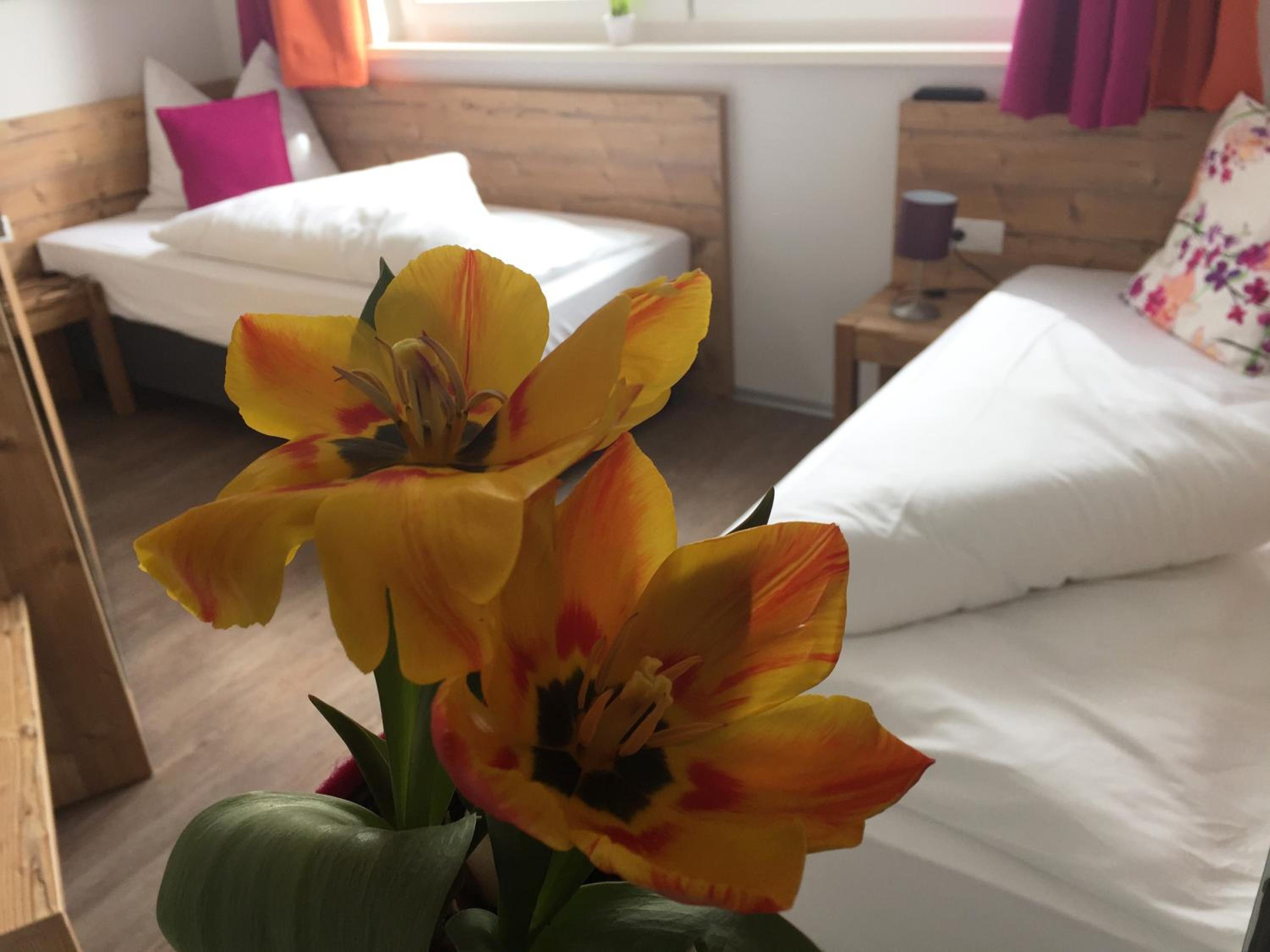 Two-Bedroom Apartment (5 Adults) - Photo 8