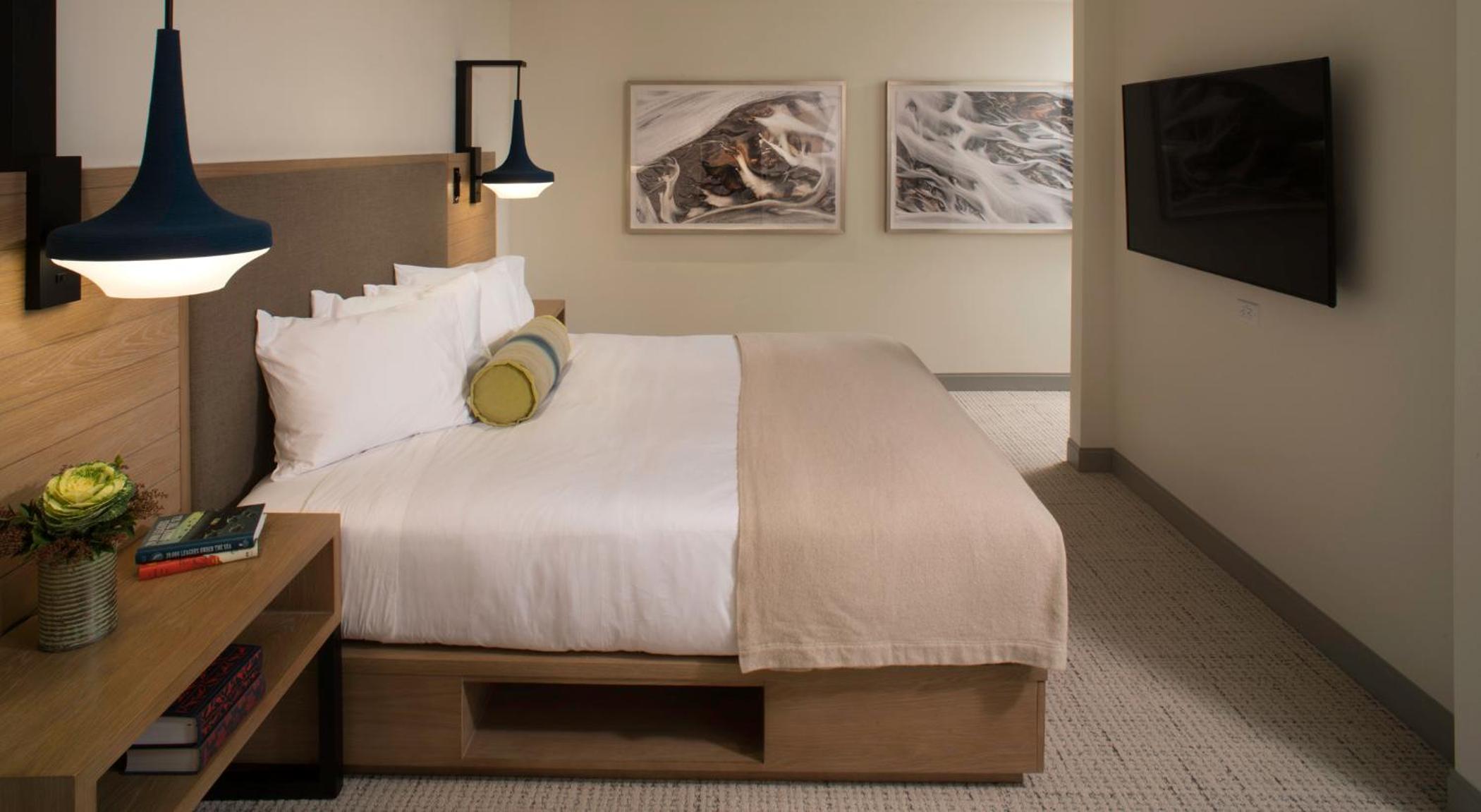 King Suite photo 2
