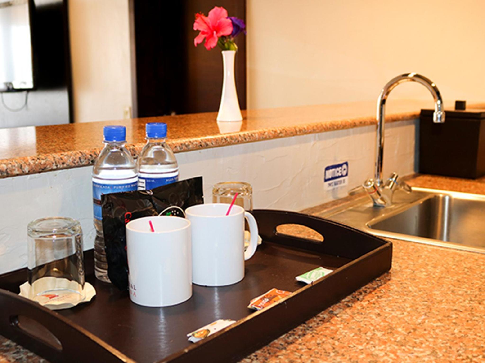 Deluxe Suite - Photo 6