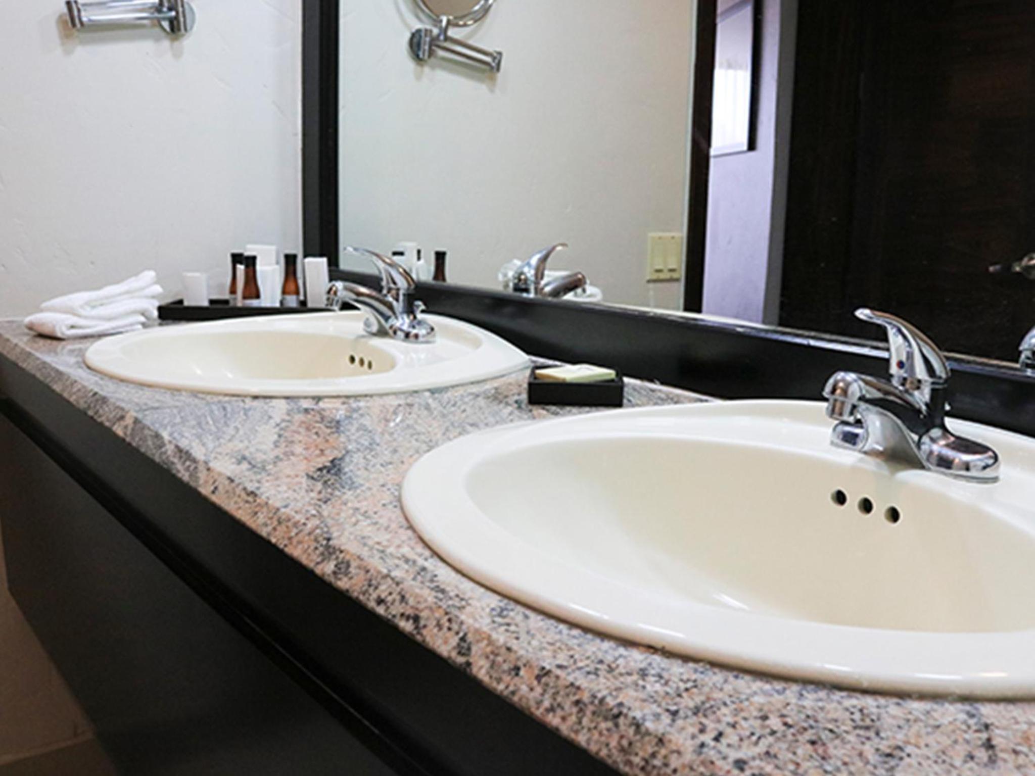 Deluxe Suite - Photo 5